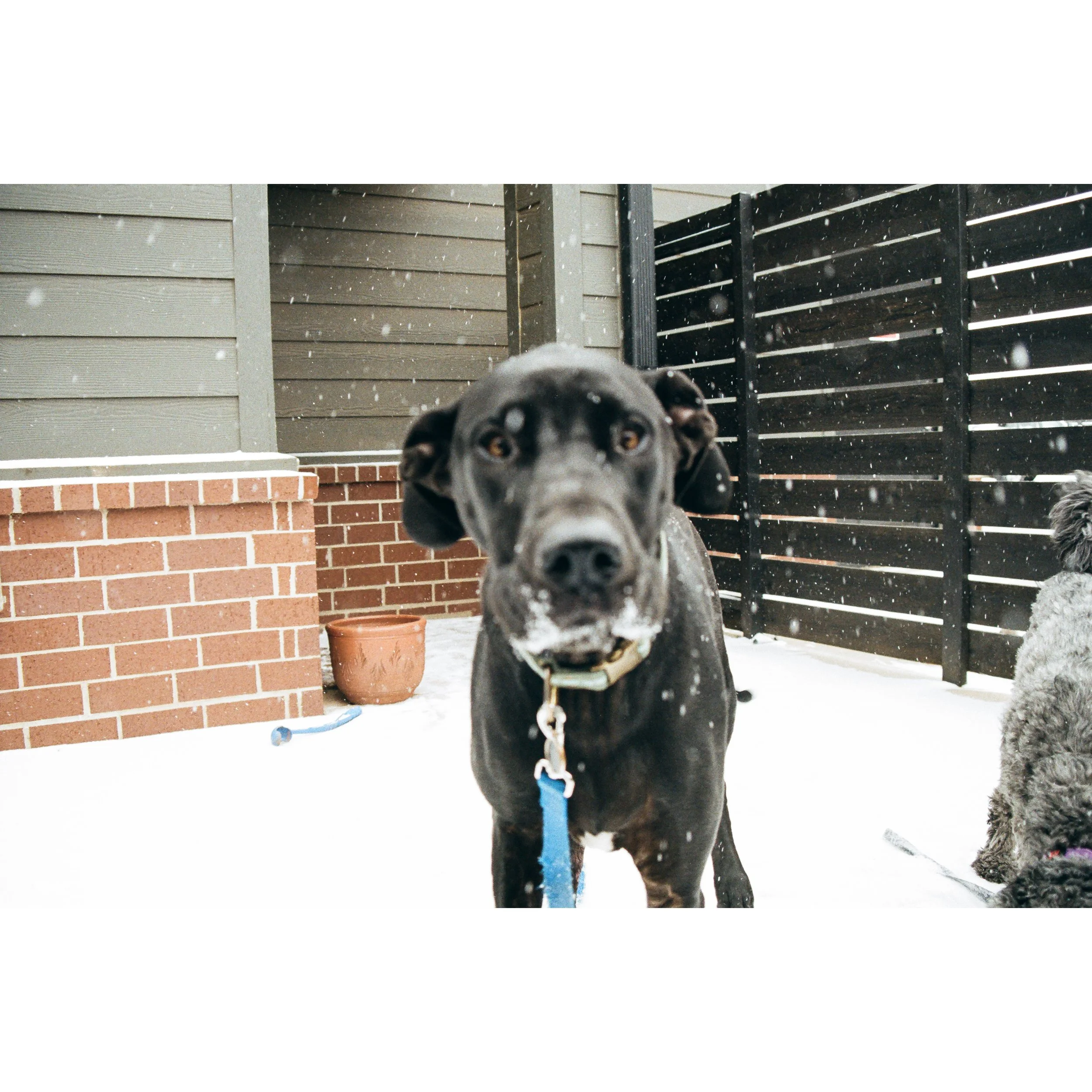 Whitagram-Image (10).jpg