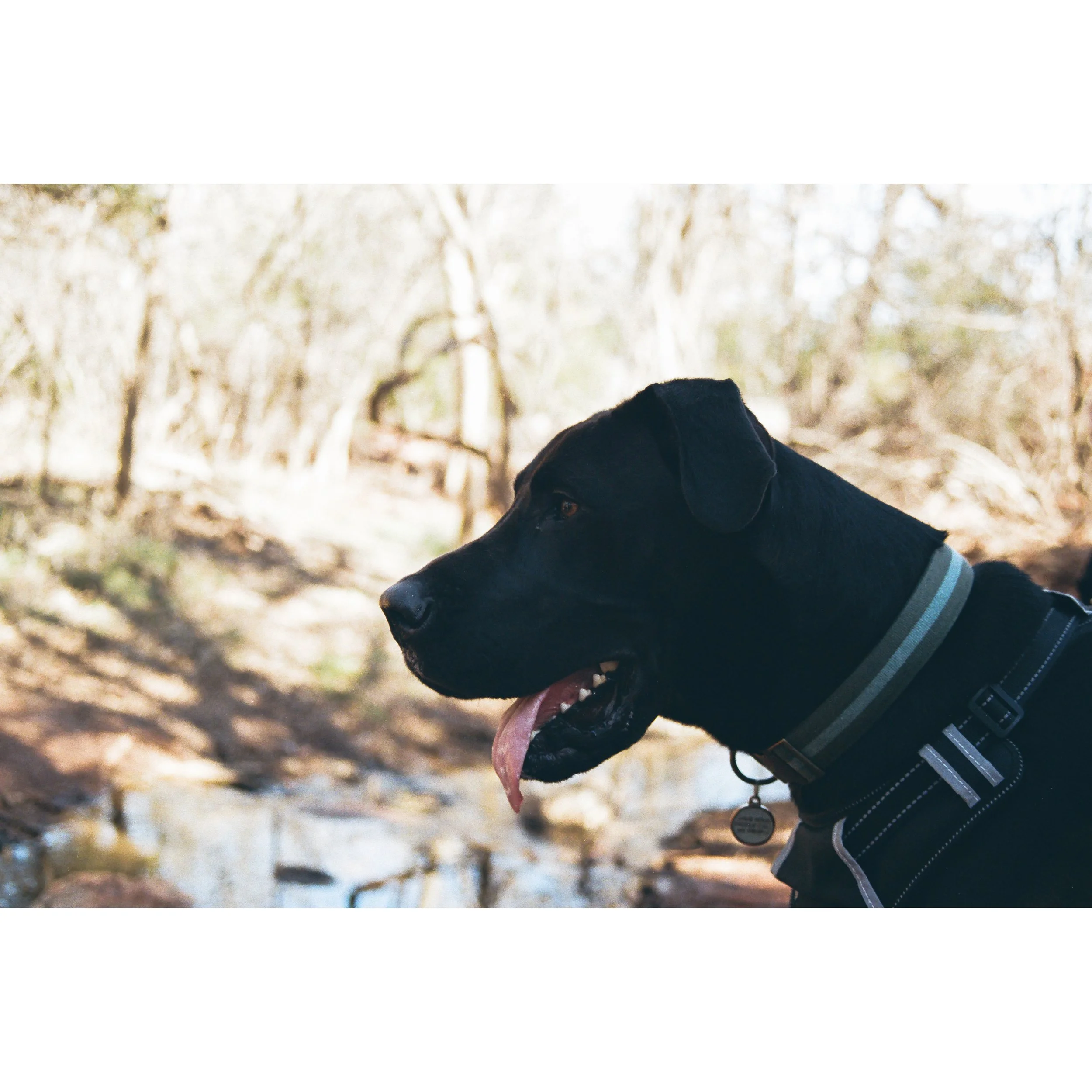 Whitagram-Image (1).jpg