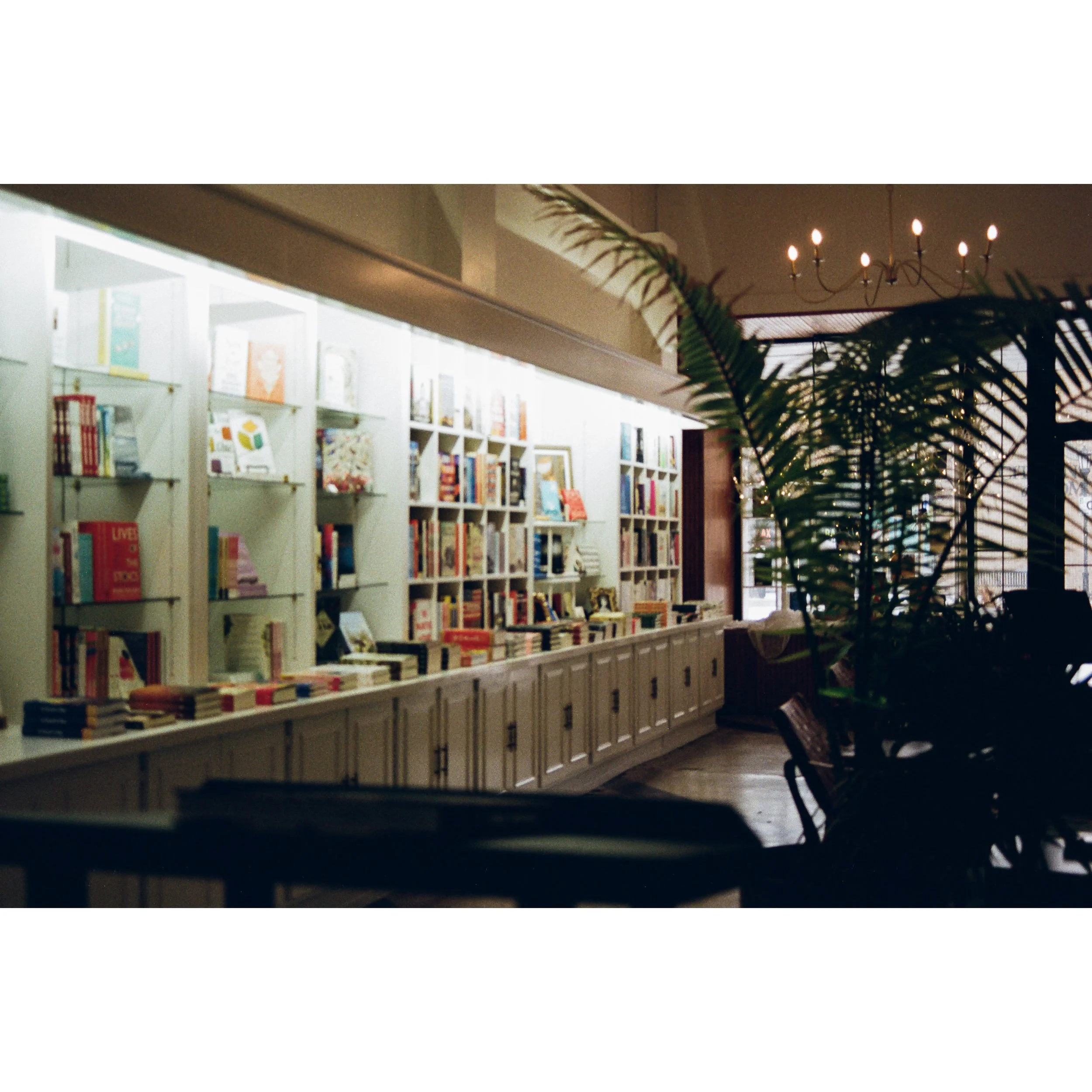 Whitagram-Image (6).jpg