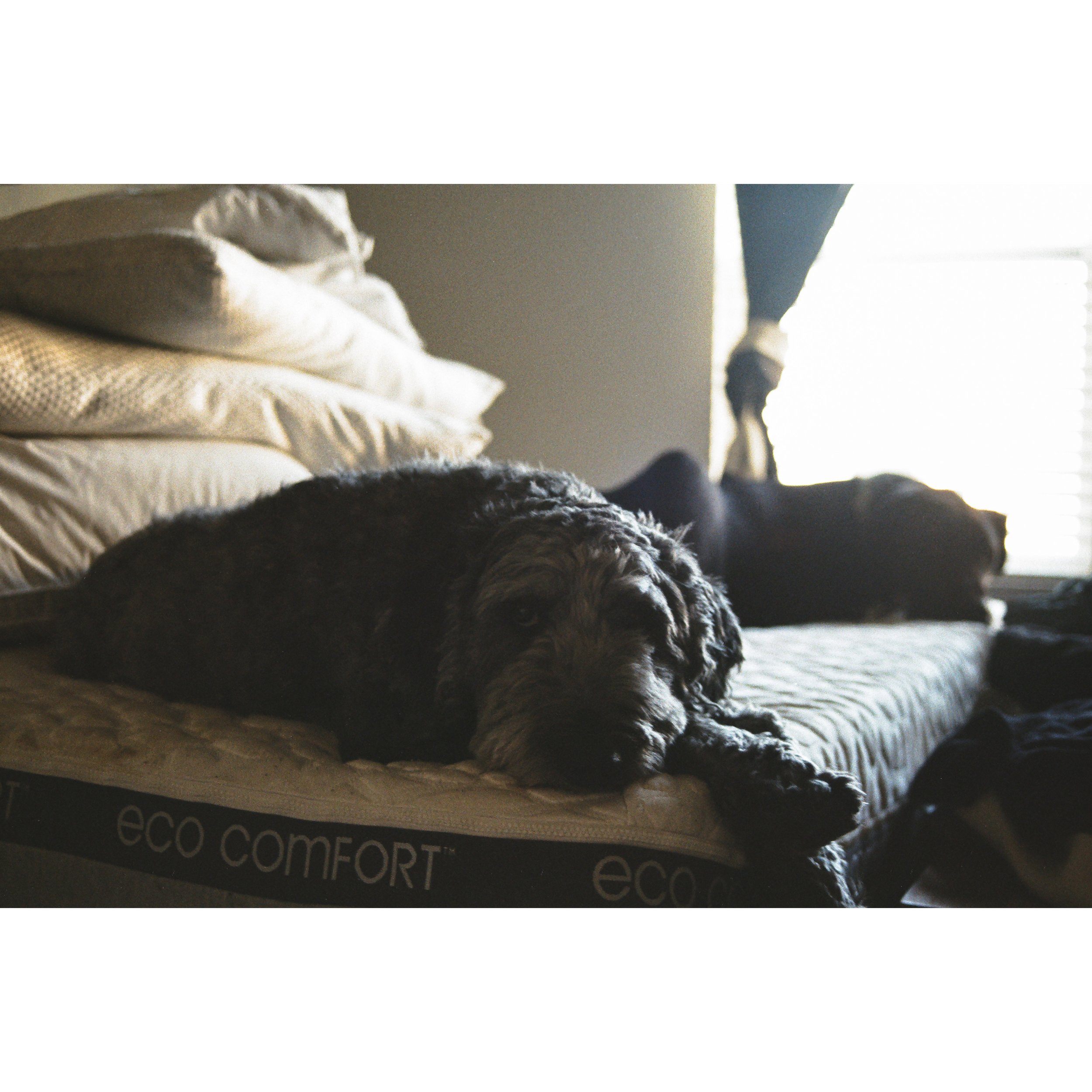 Whitagram-Image (5).jpg