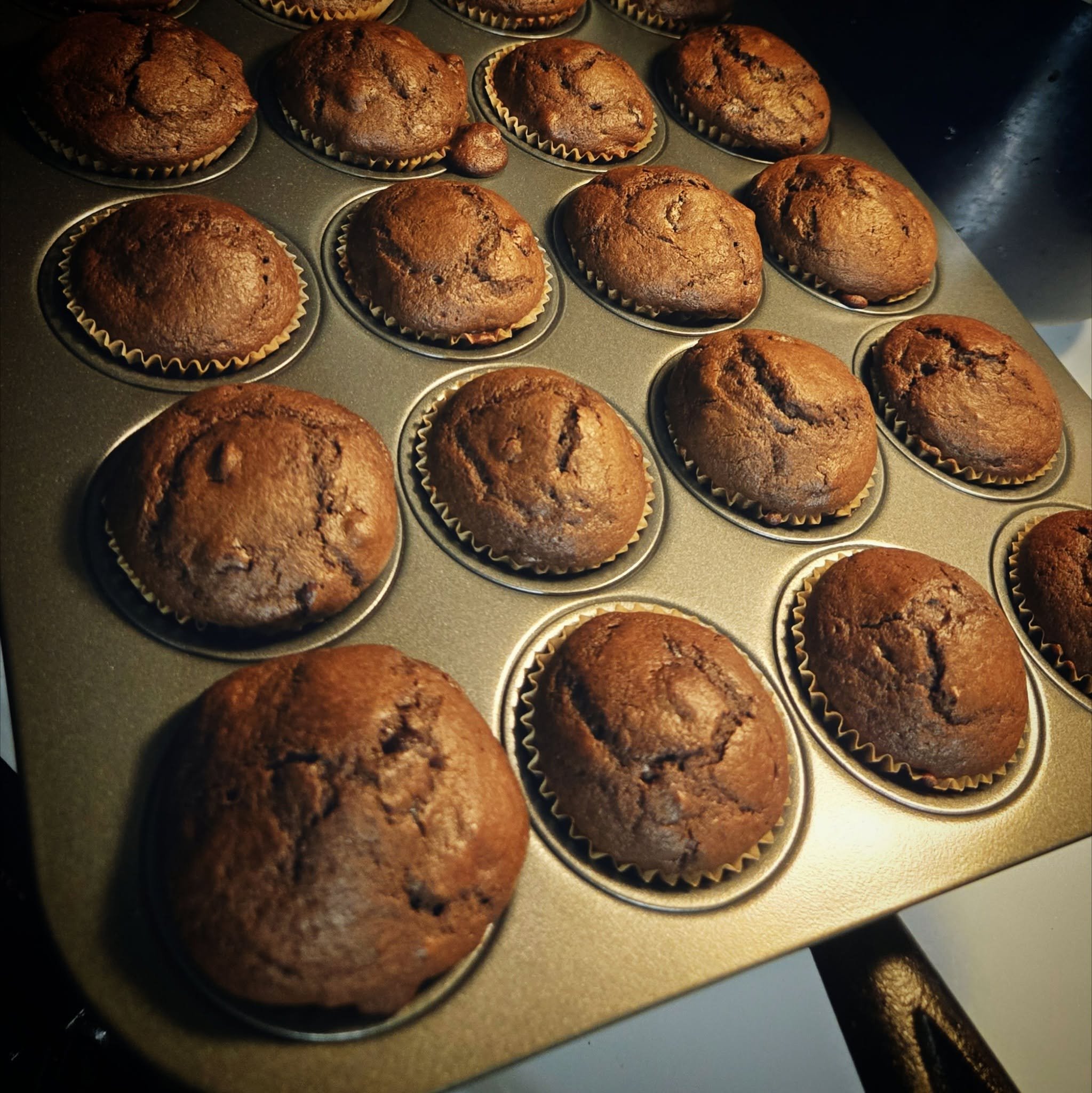 Chocolate Chip Espresso Mini Muffins (Dozen)