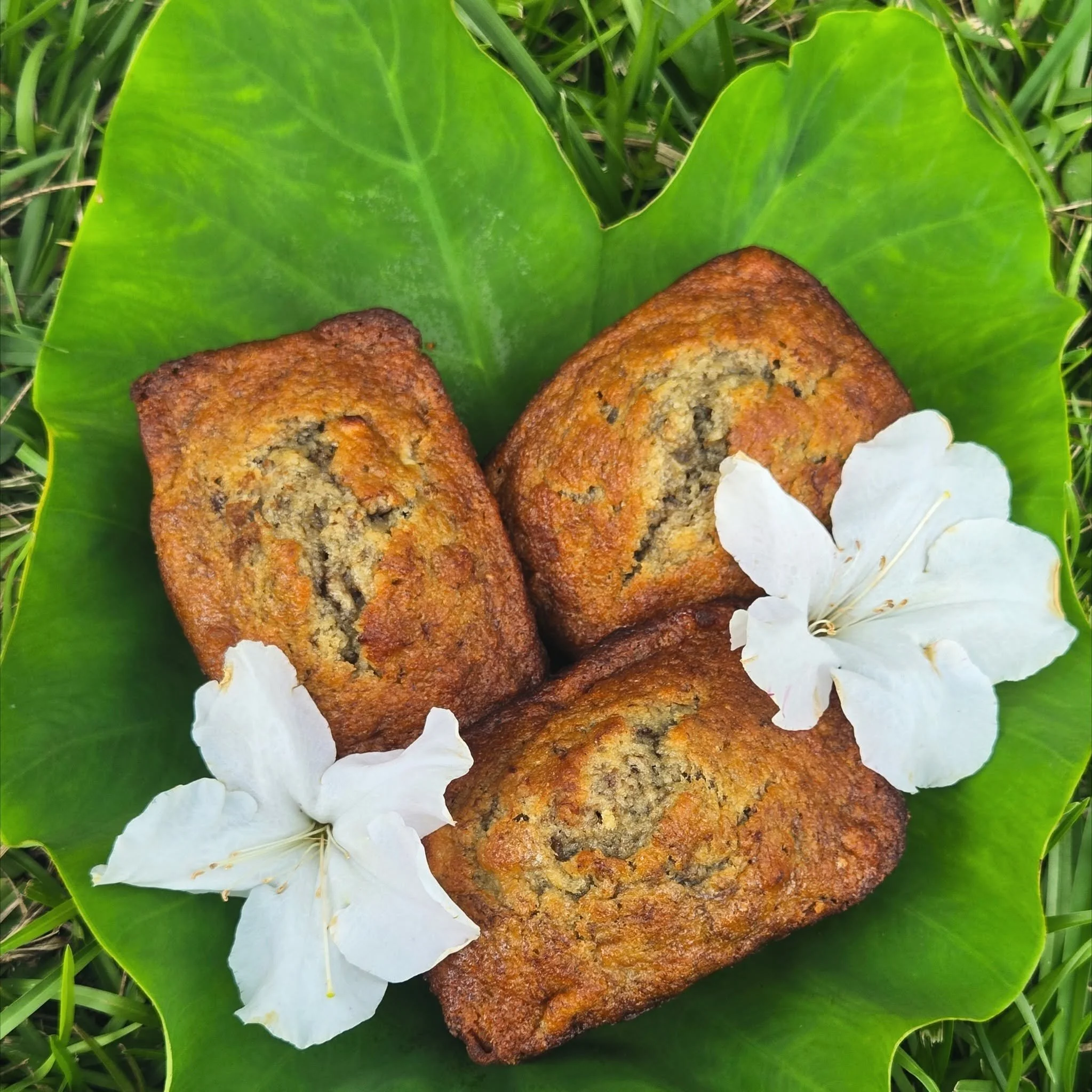 Banana Walnut Bread (Mini Loaf)