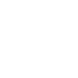 Icon of a sun with rays