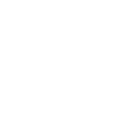 Outline of a smartphone with a blank screen.