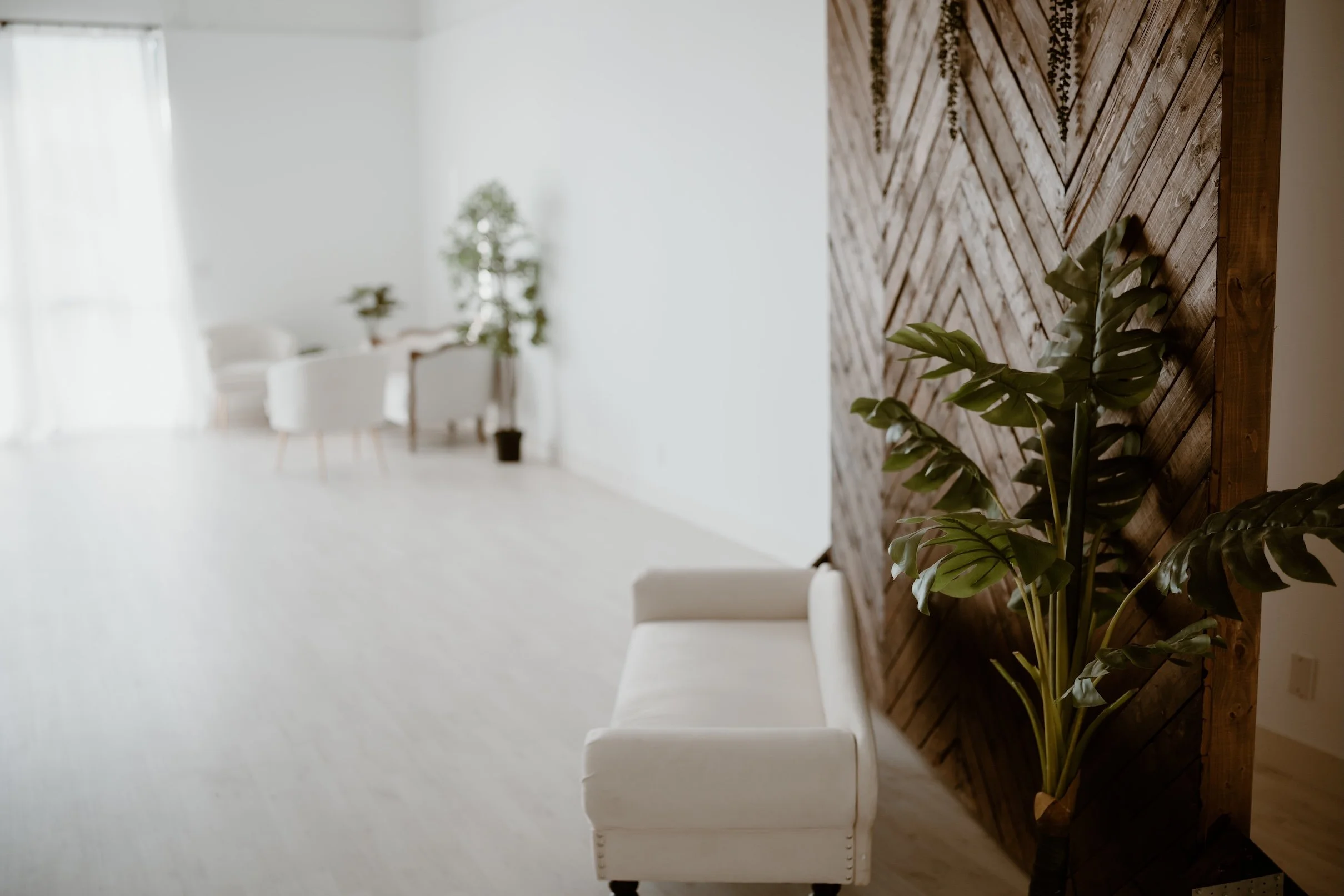 A bright, modern interior with a wooden accent wall, a large green houseplant, and white furniture in the background.