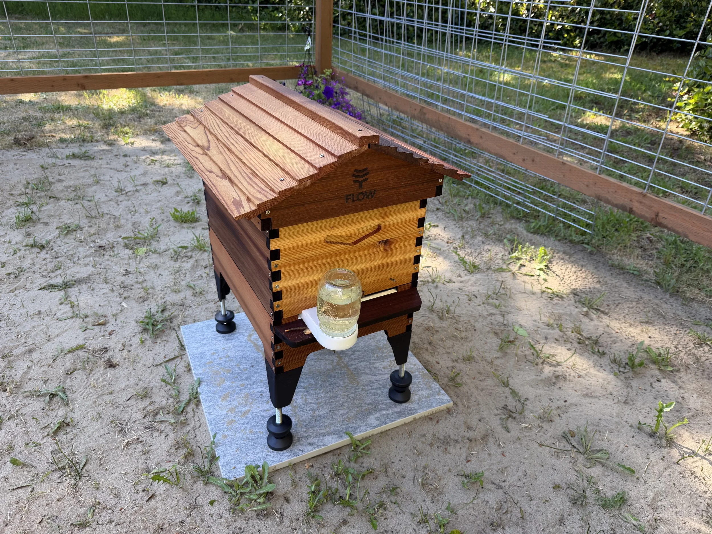 The Bee-gining