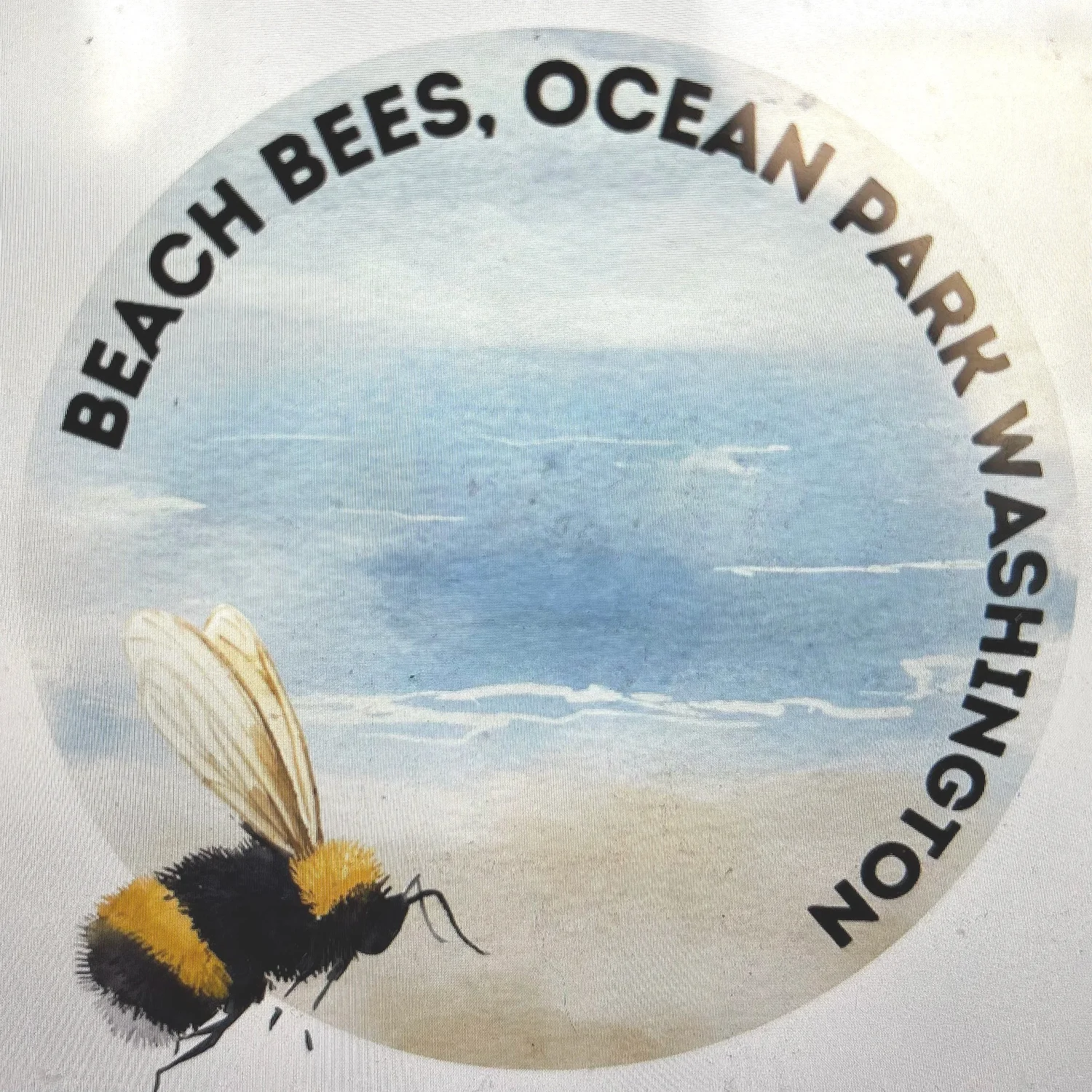 Beachbeesop.com