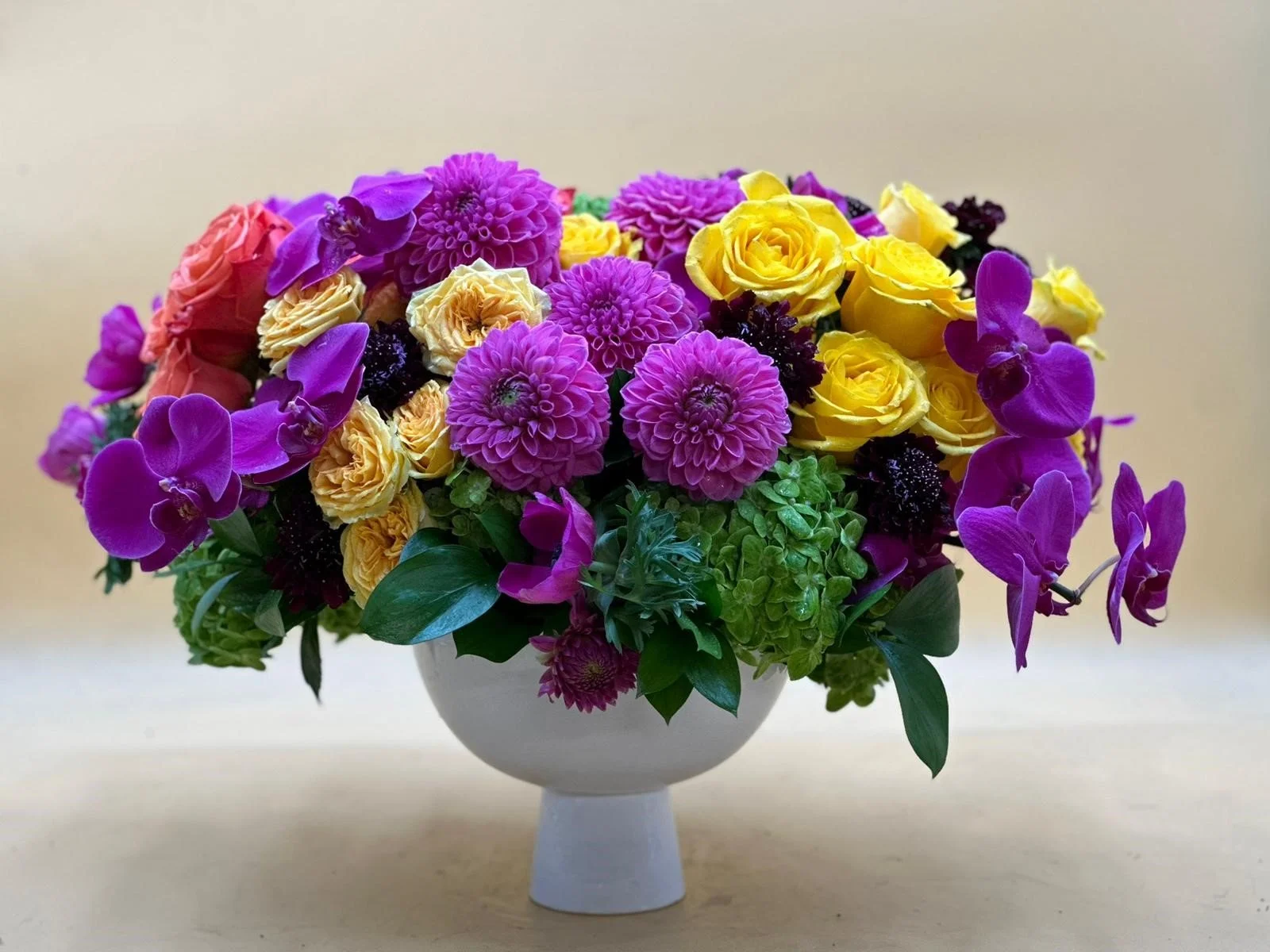 purple and yellow.jpg