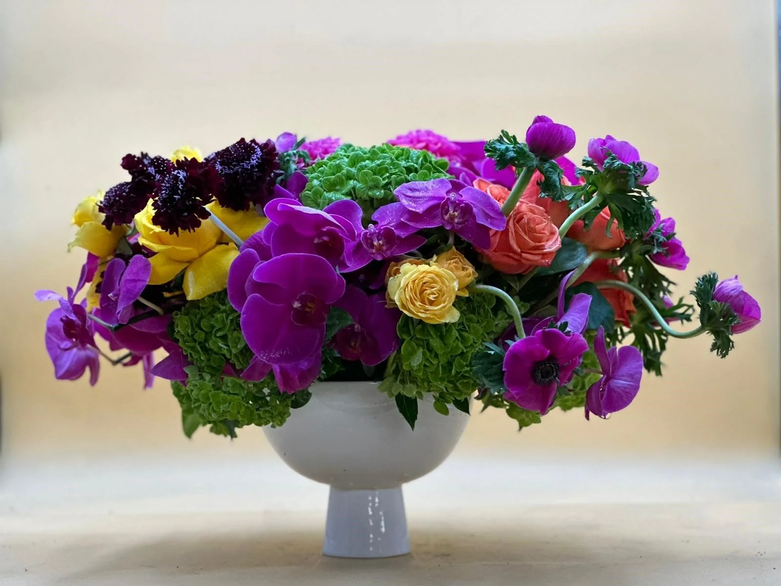 purple and yellow 2.jpg
