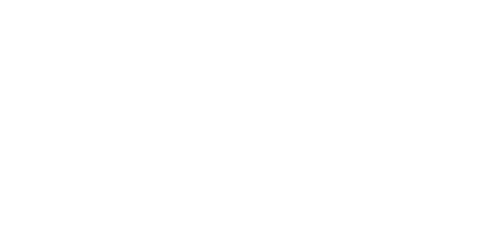 Bloo Owl