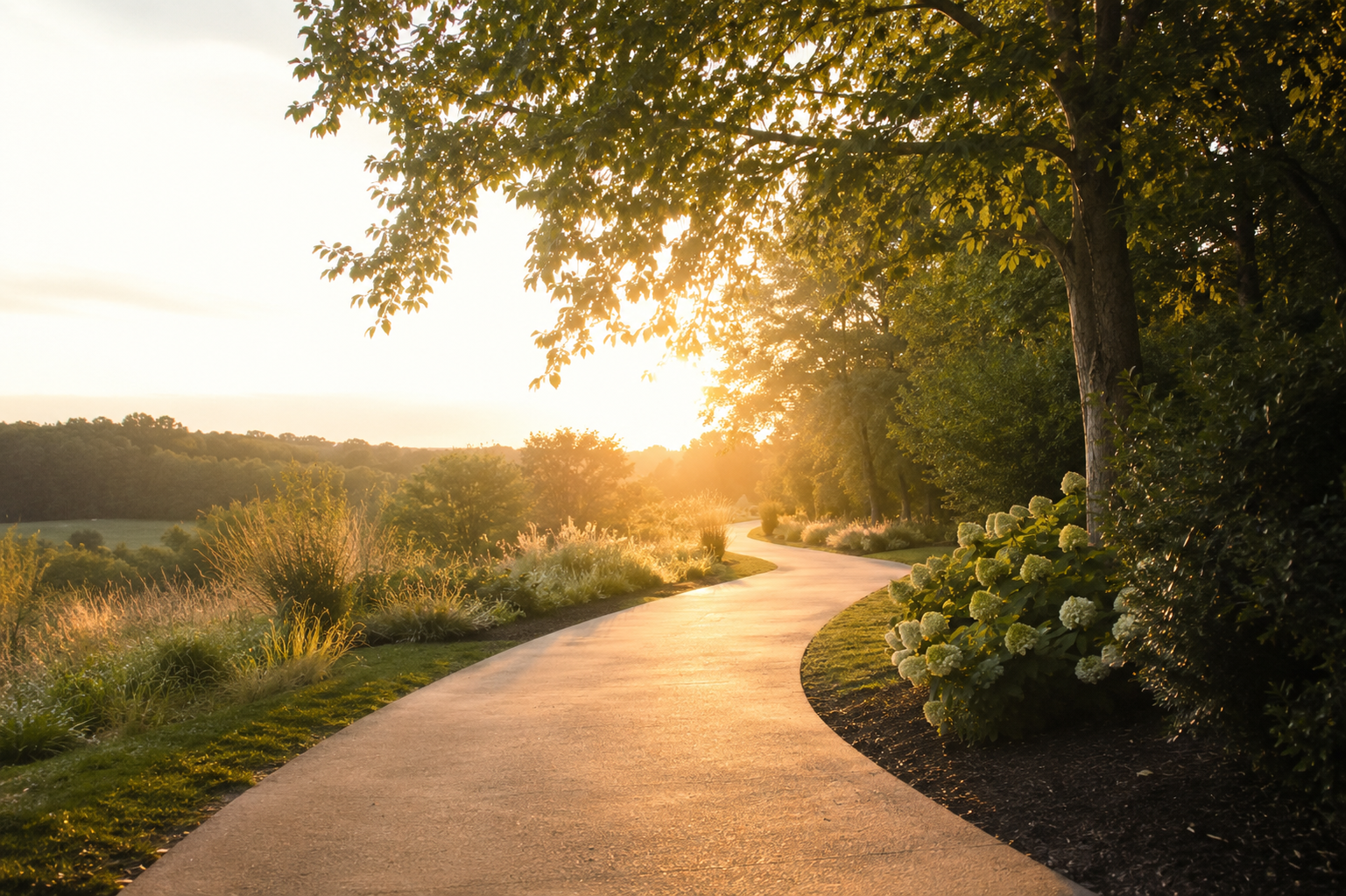 A winding concrete pathway through a lush garden on a sunny evening, with trees and flowering bushes along the sides and the sun setting in the background.