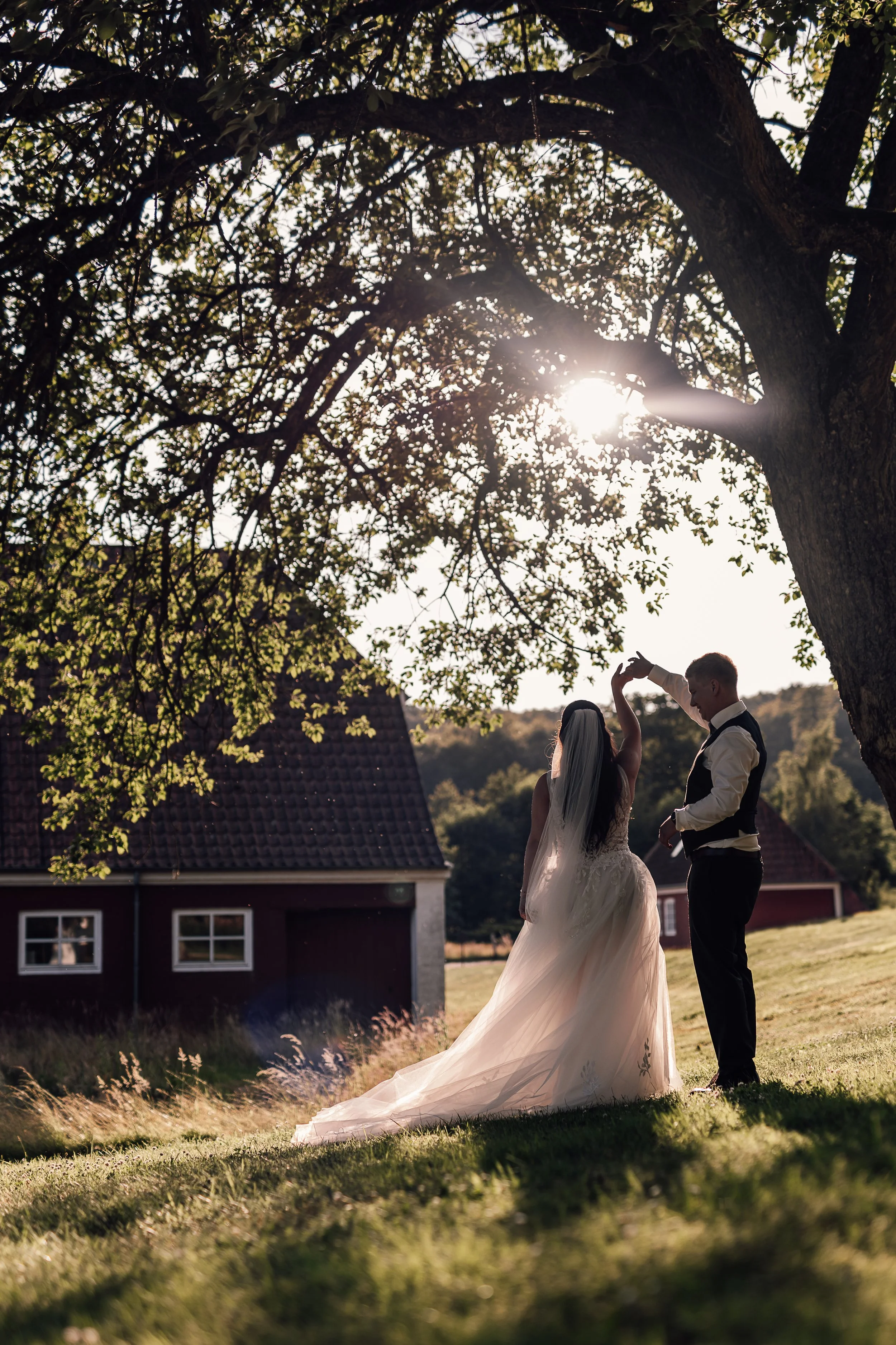 Et brudepar danser udenfor i solskin under en stor egtræ med grønne blade, mens der er et rødt hus i baggrunden.