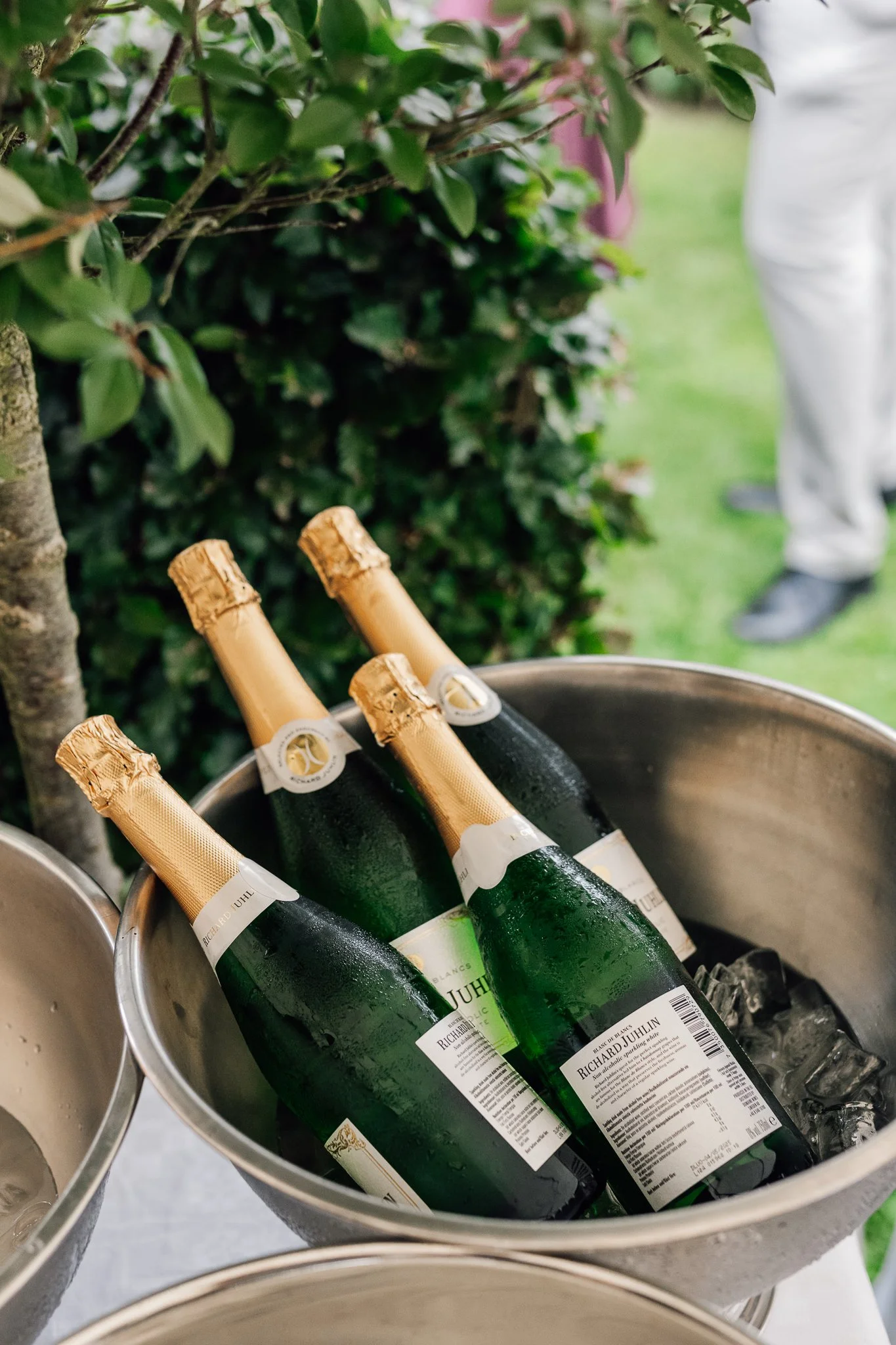 Flaskeudsalg med champagne flaske i en isspand, udendørs, med grønne buske i baggrunden