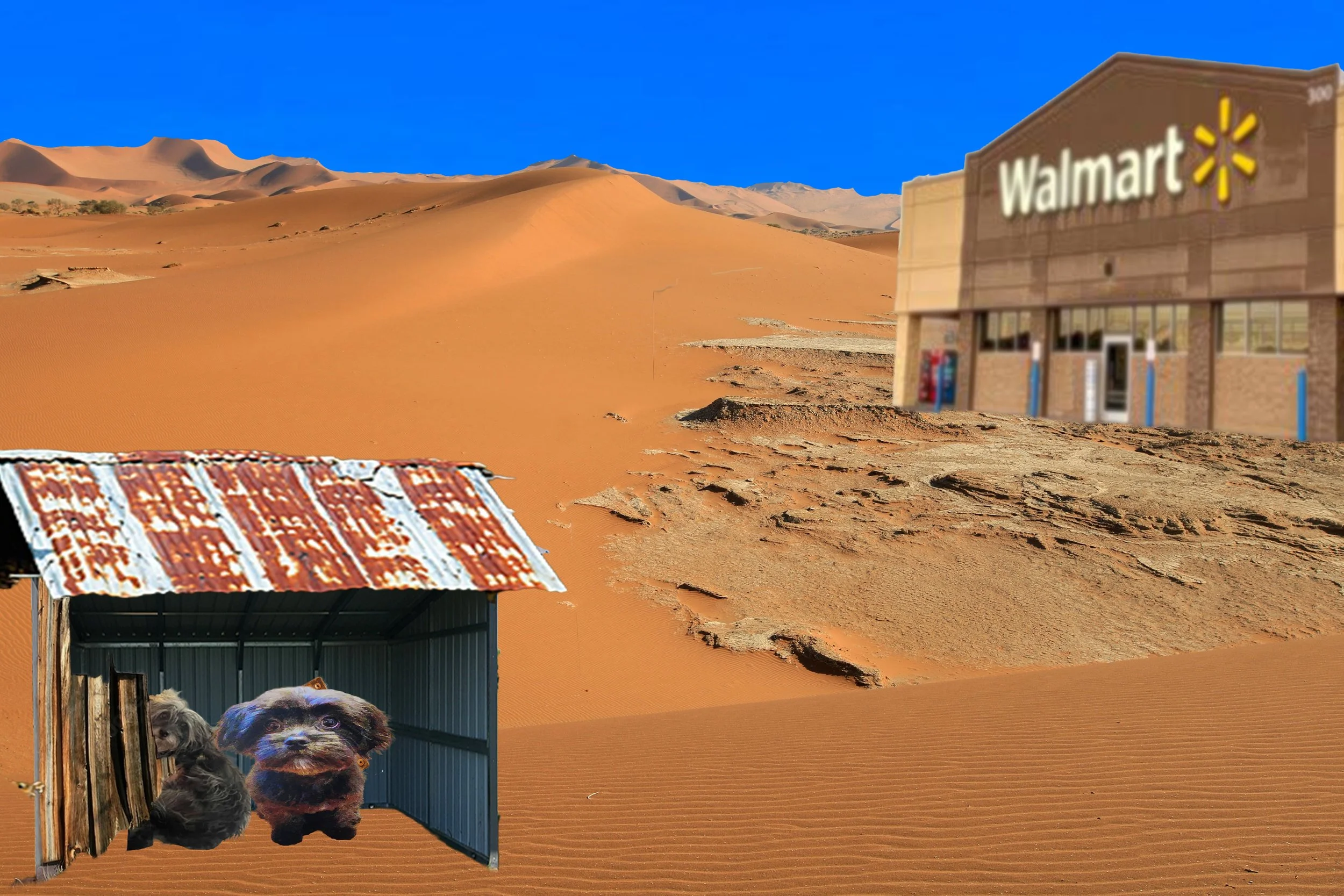 Desert Dogs.jpg