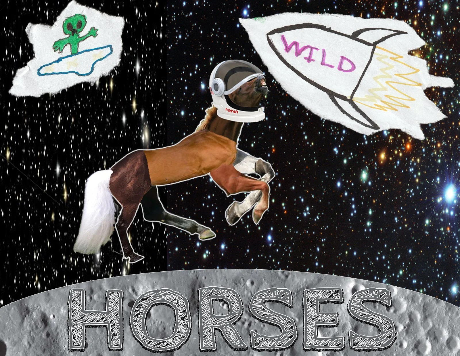 wildhorses.jpg