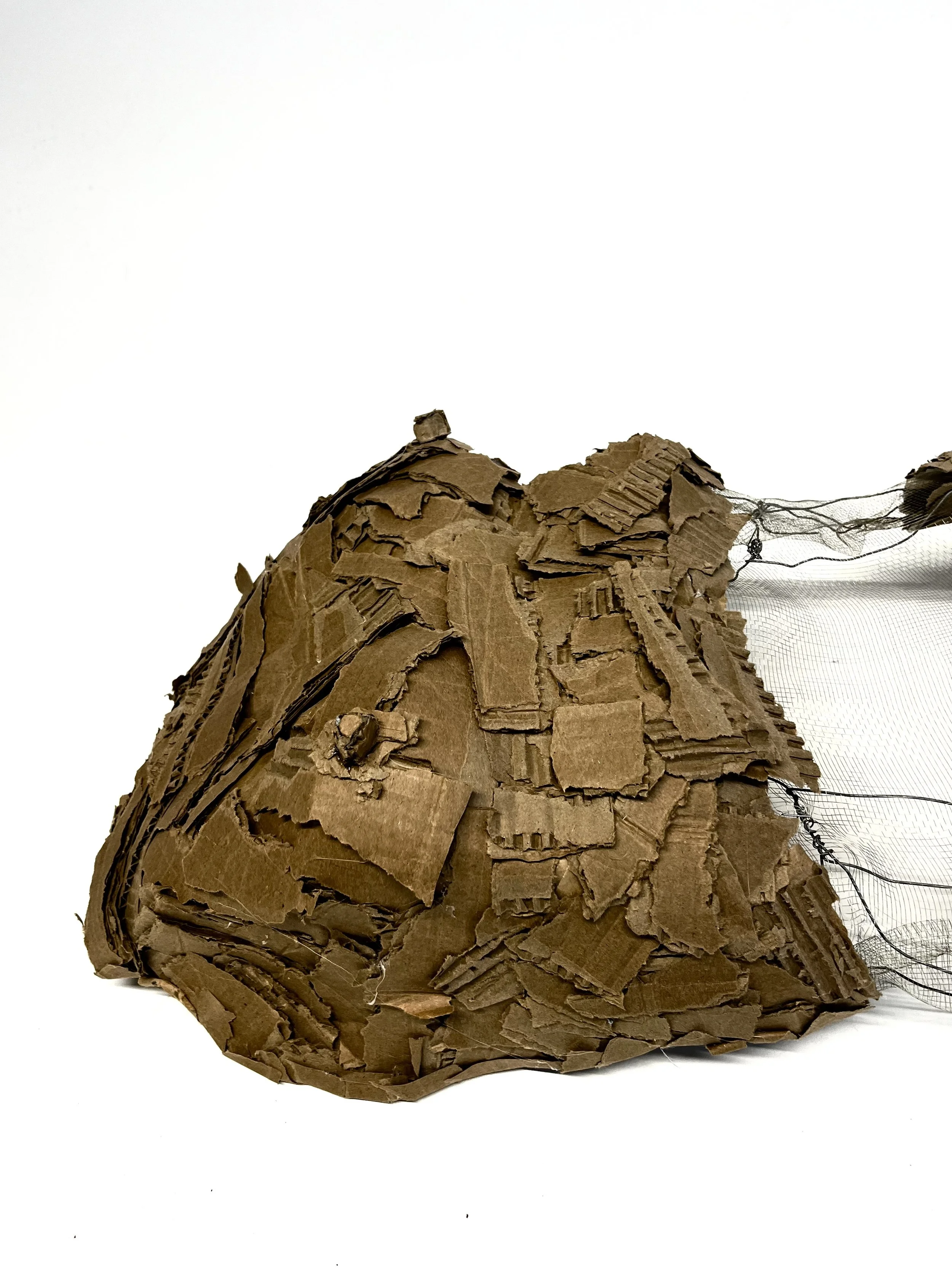 Wearable Sculpture (2)
