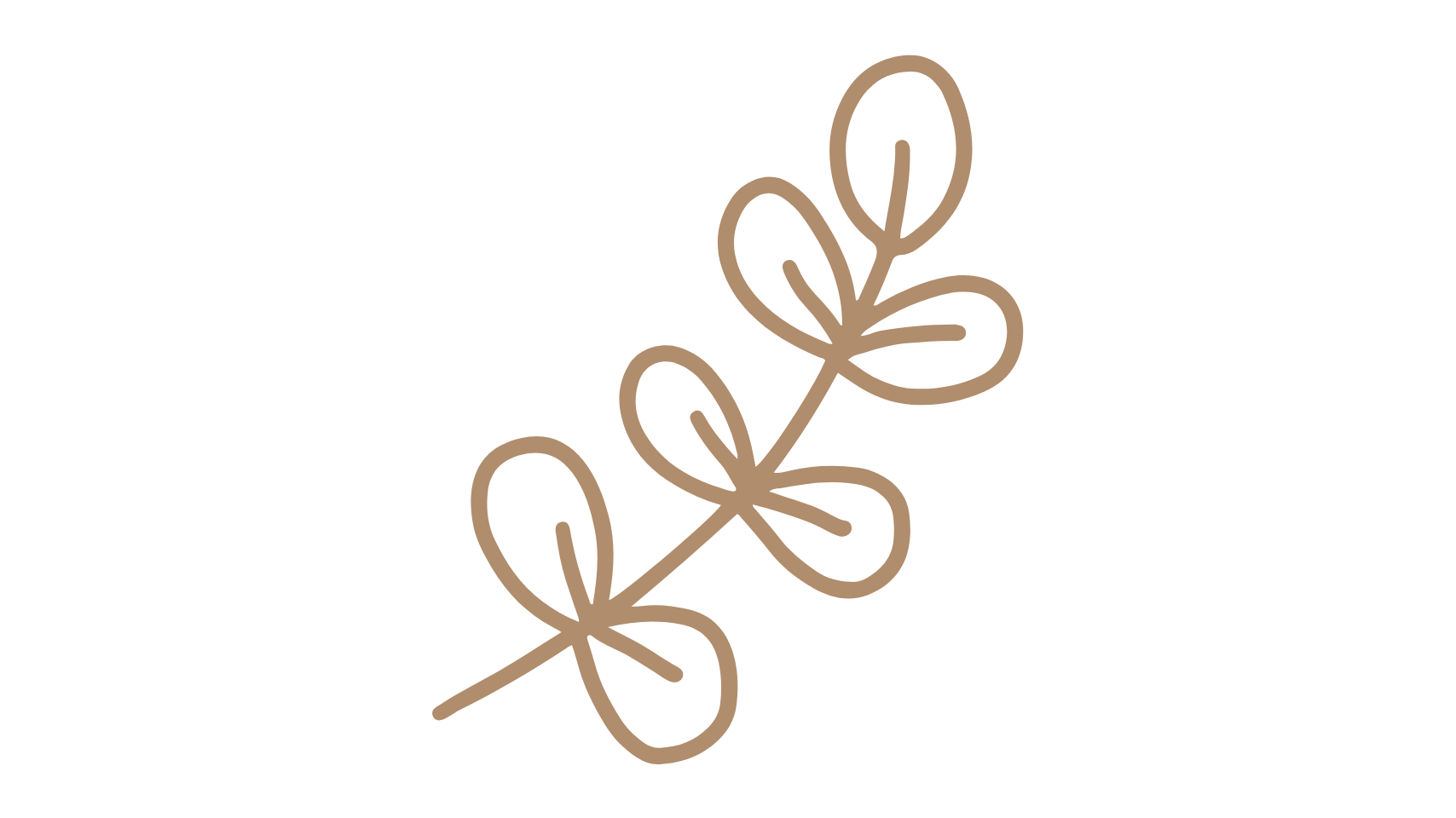 Line drawing of a sprig with small leaves in a minimalist style.