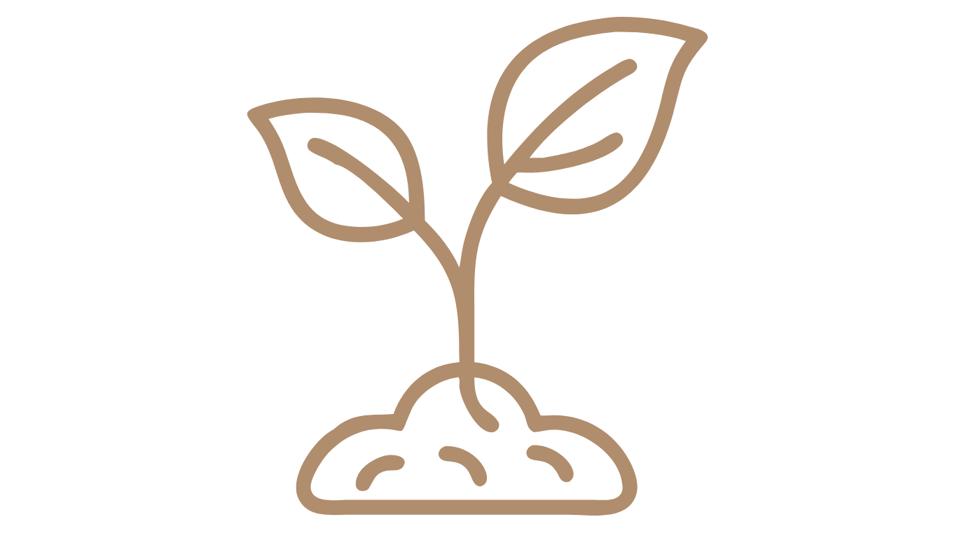 Line drawing of a young plant with two leaves sprouting from a mound of soil.