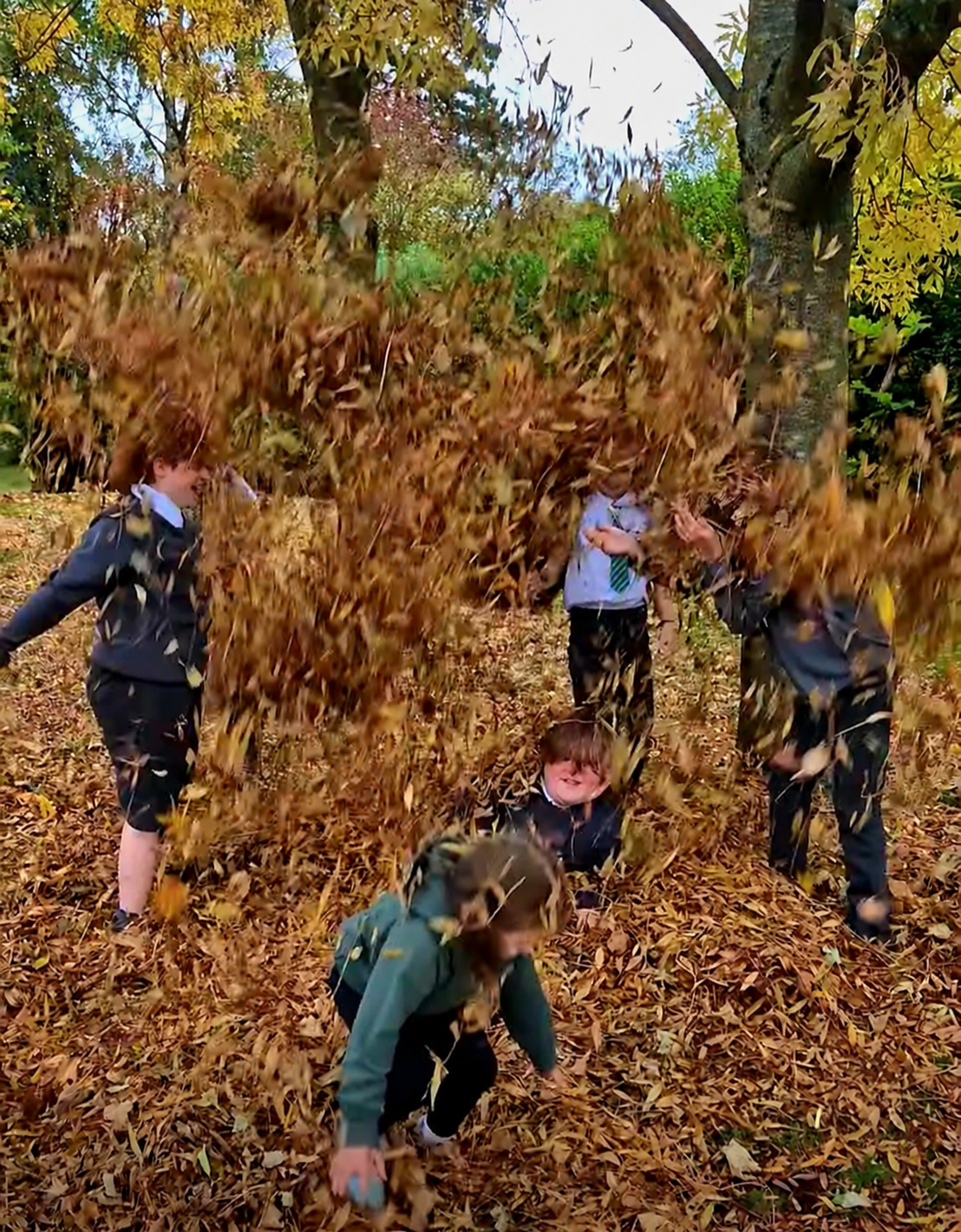 Children playing in a large pile of autumn leaves beneath trees