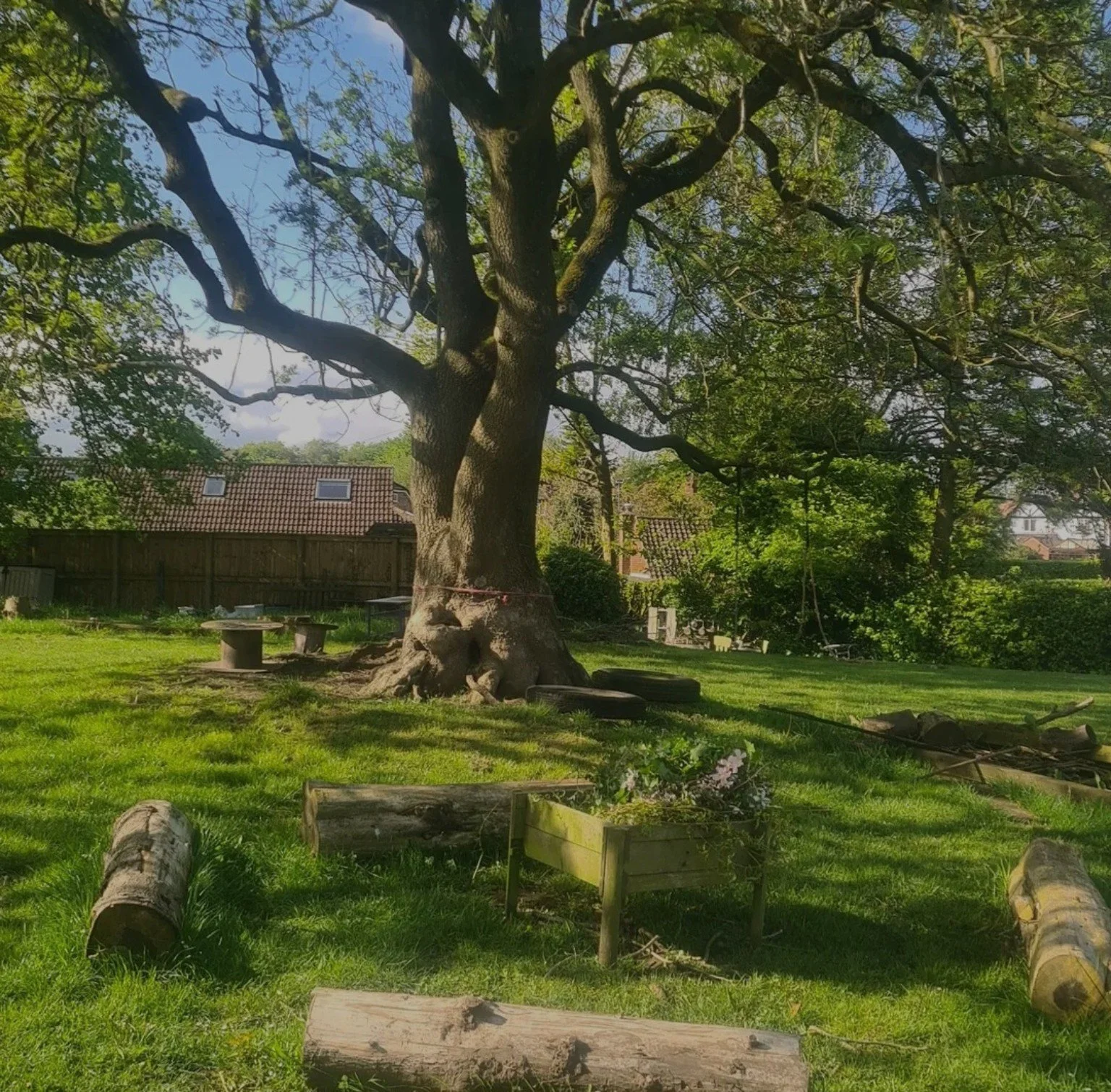Large mature tree in a sunny grassy garden with felled logs, raised flower beds, and wooden picnic tables.