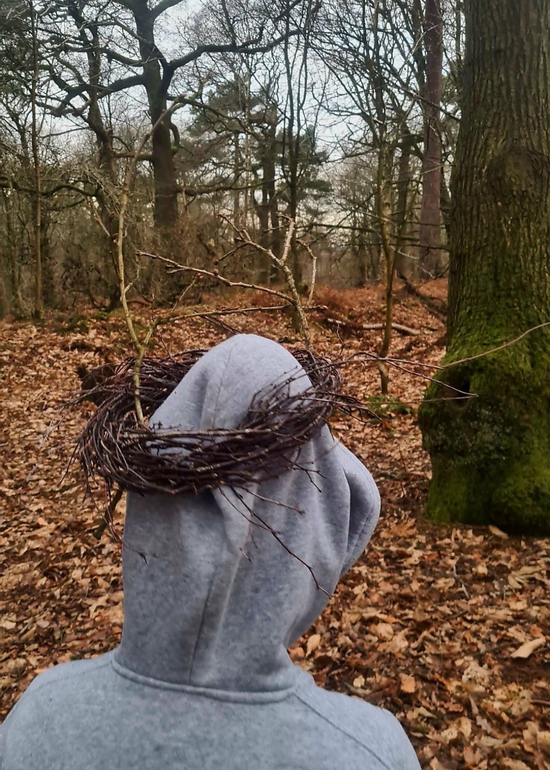 Person in a gray hooded sweatshirt wearing a nest of twigs on their head in a leaf-covered forest