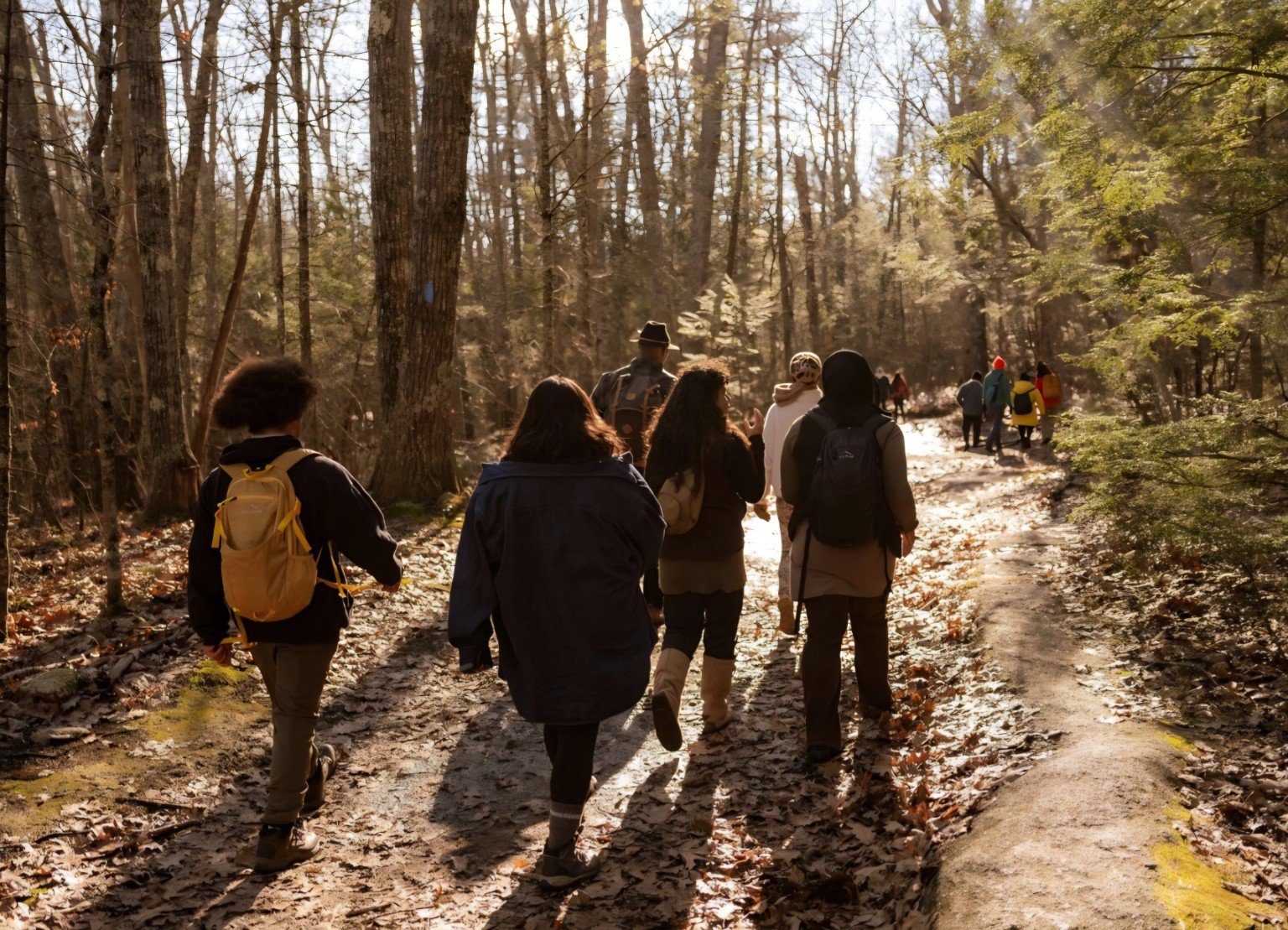 Group of hikers with backpacks walking along a sunlit forest trail