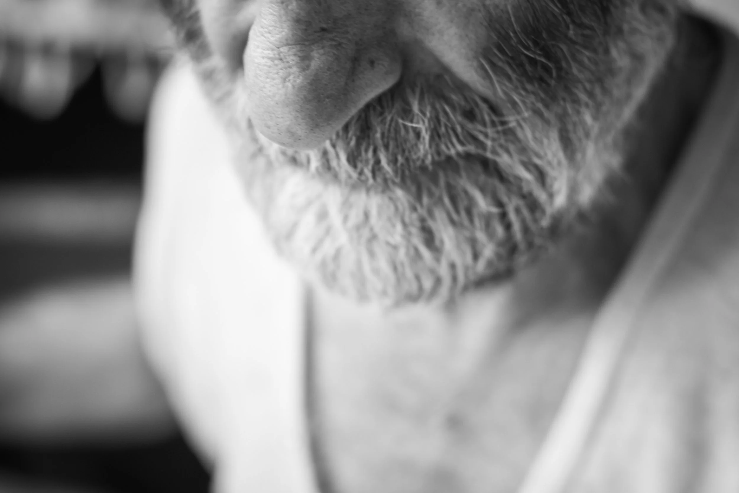 IMG_4878.JPG