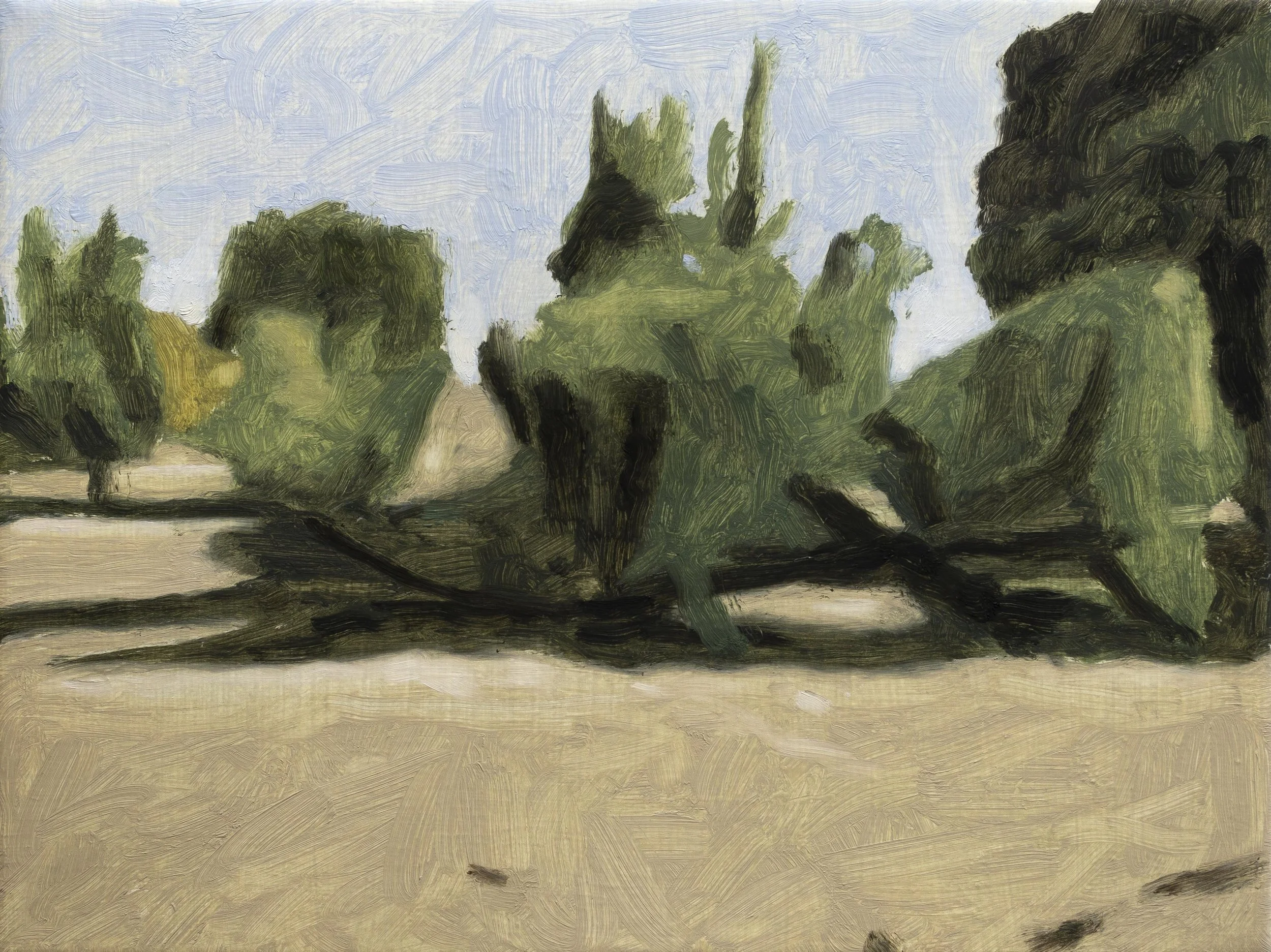 Variaciones III, 30 x 24 cm.jpg