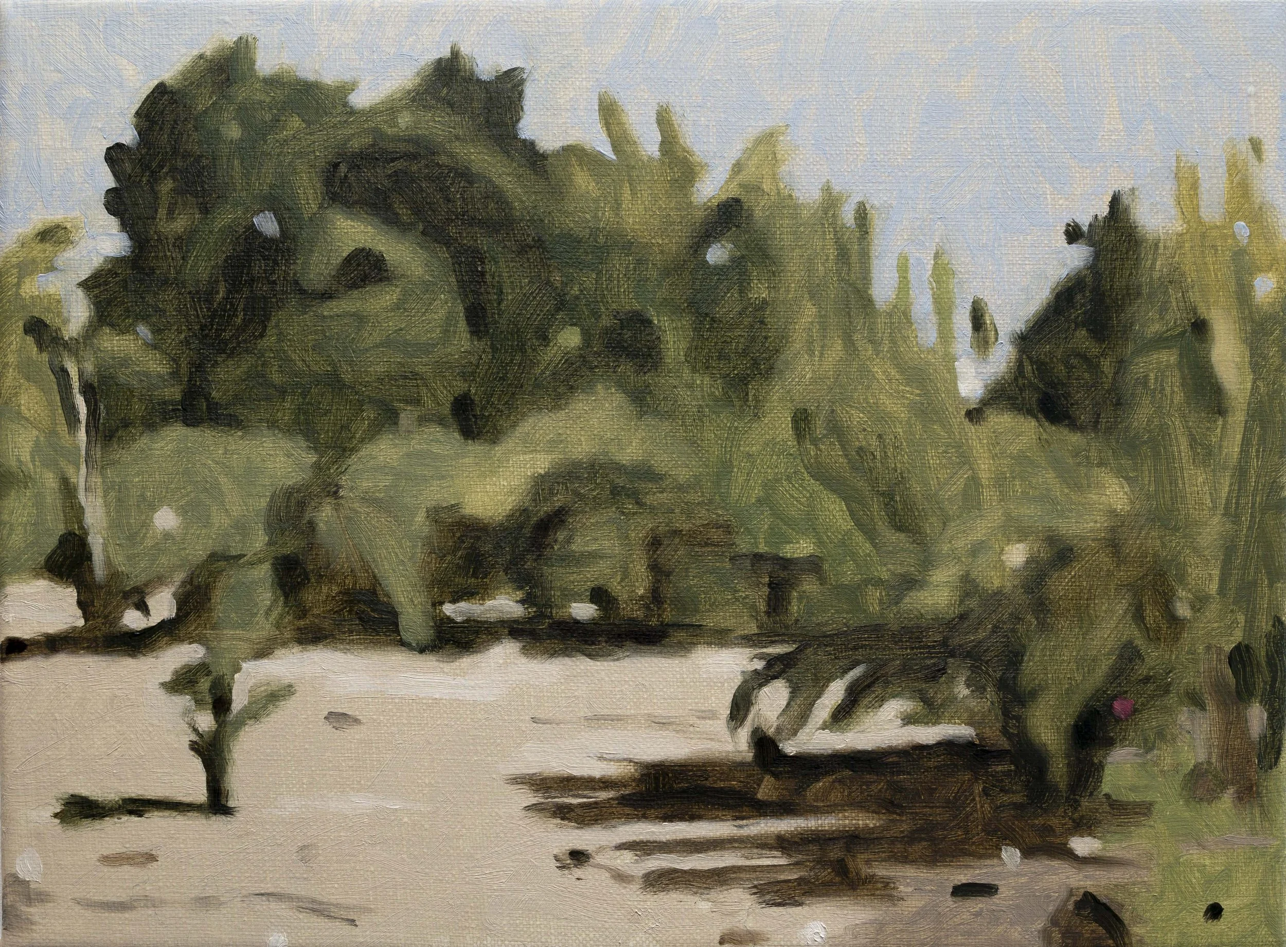 variaciones 30 x 40 cm.jpg