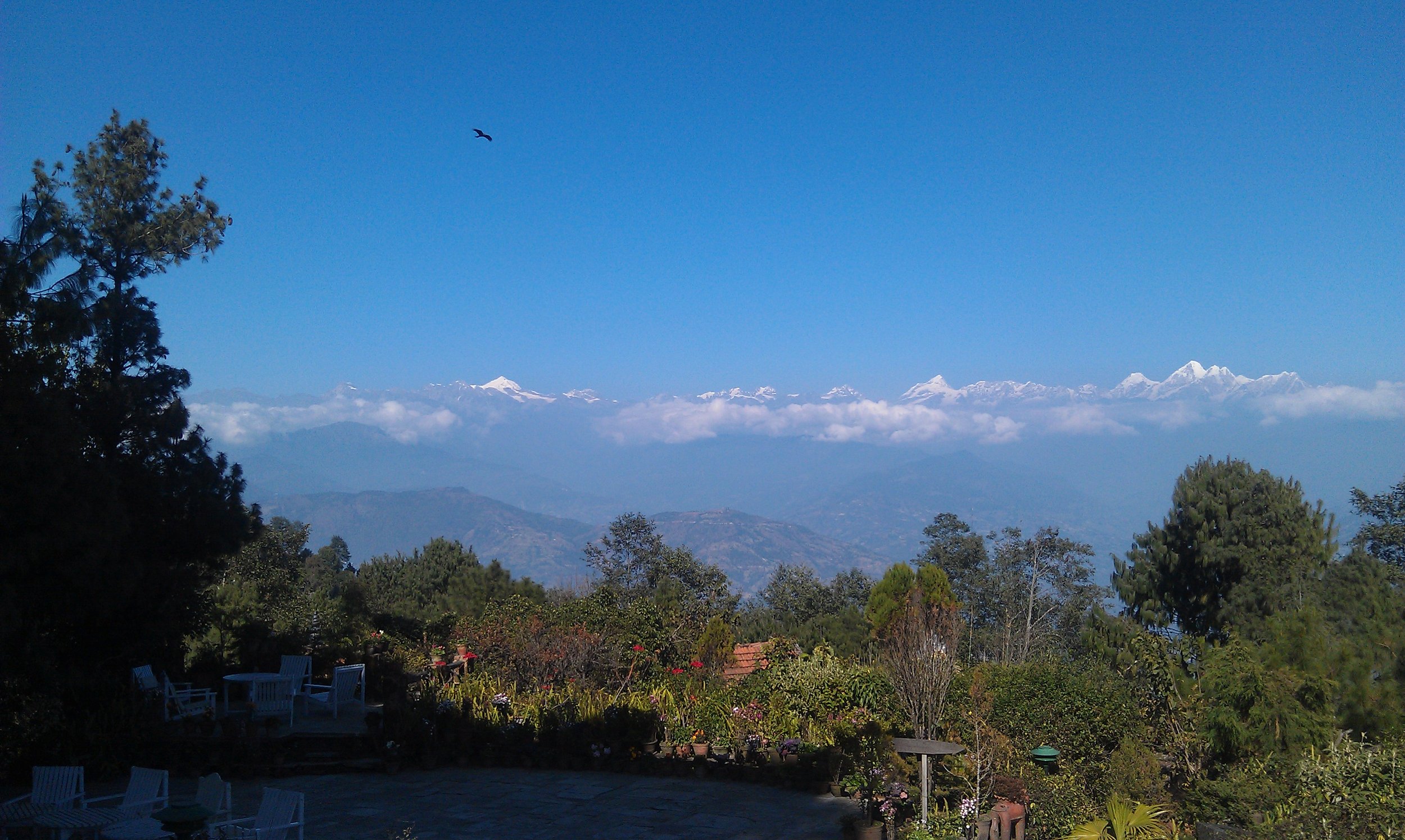 IMAG0268.jpg
