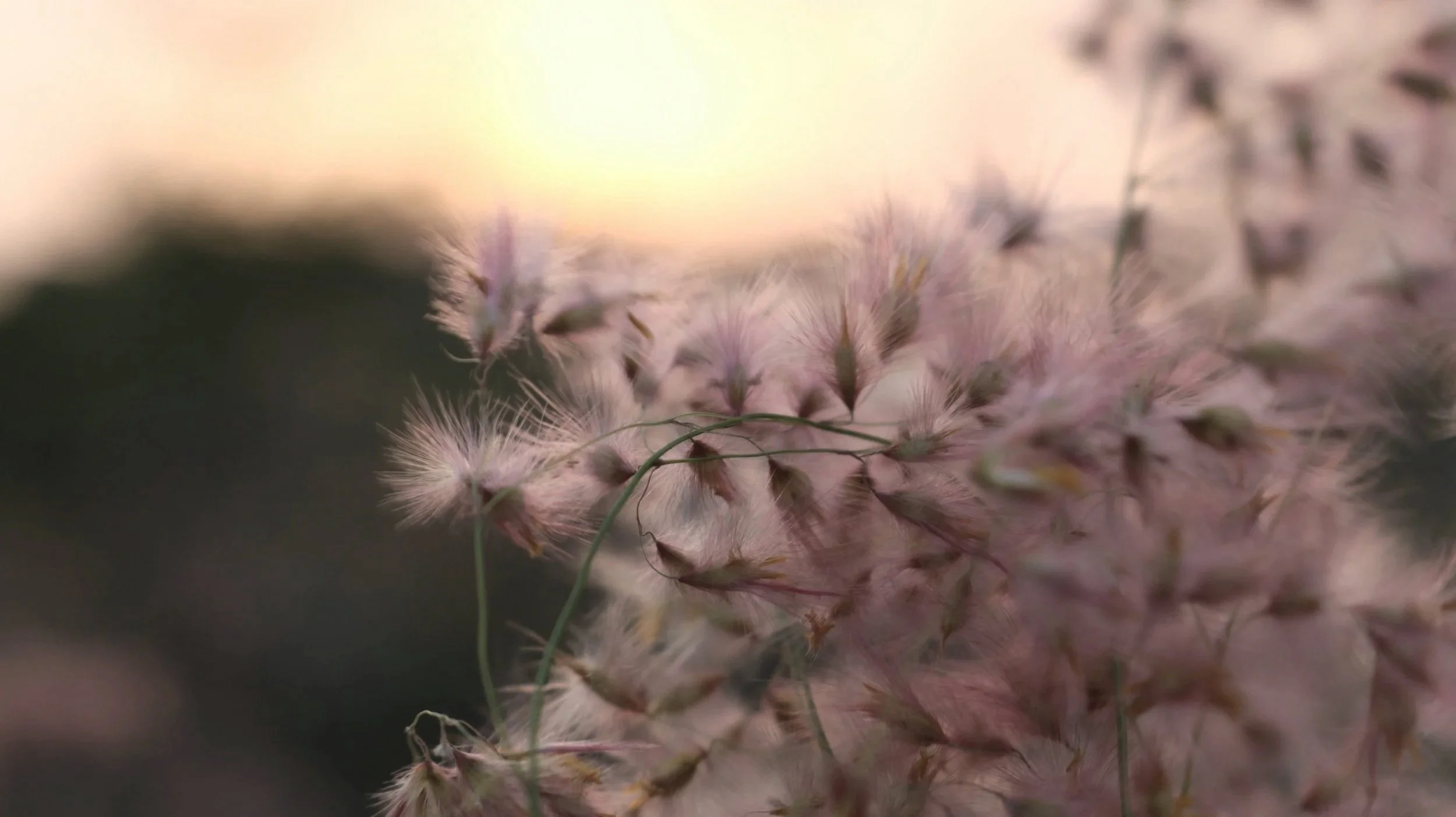 Fertility and IVF therapy Danbury New Canaan Connecticut