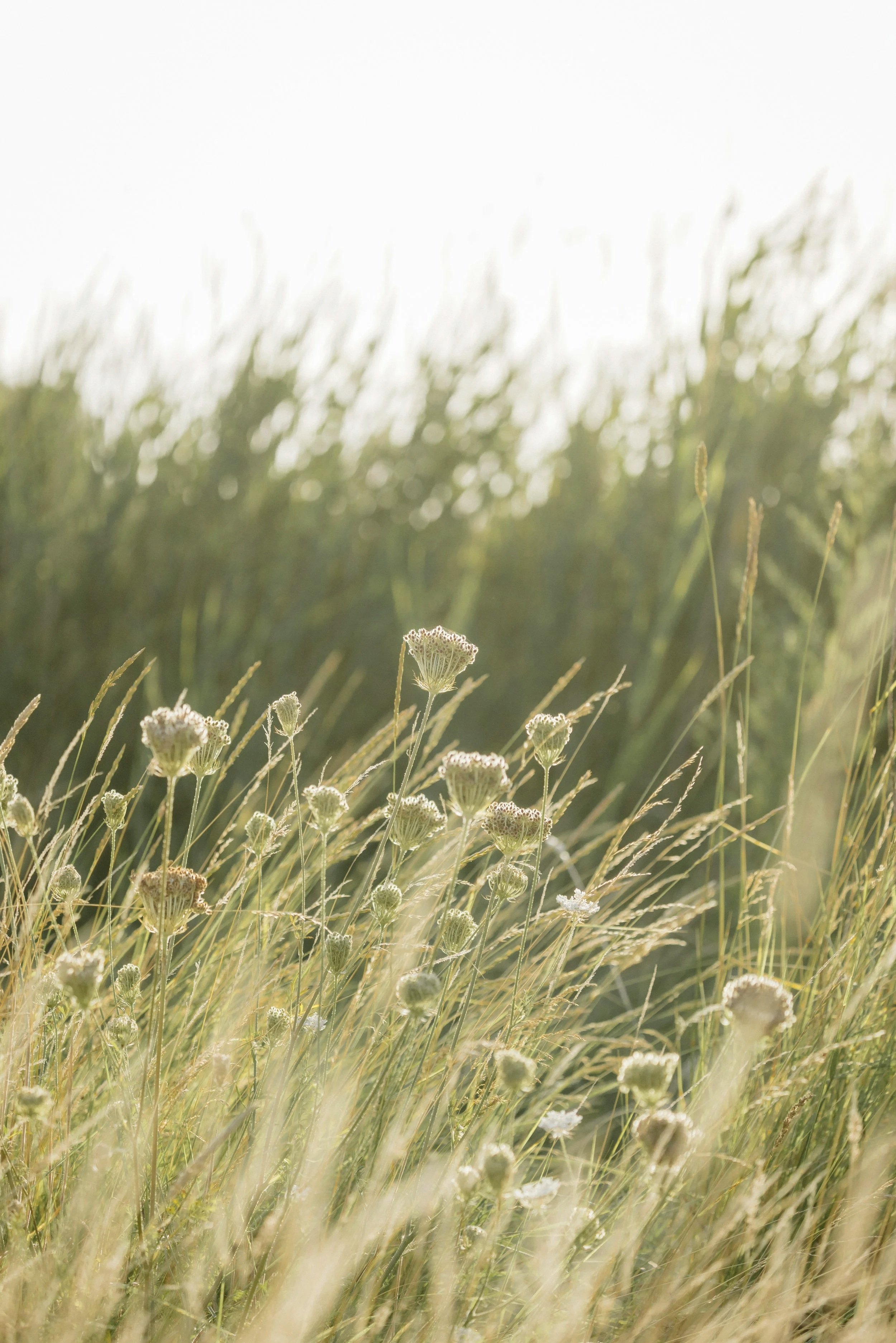 Postpartum and motherhood therapy Danbury New Canaan Connecticut
