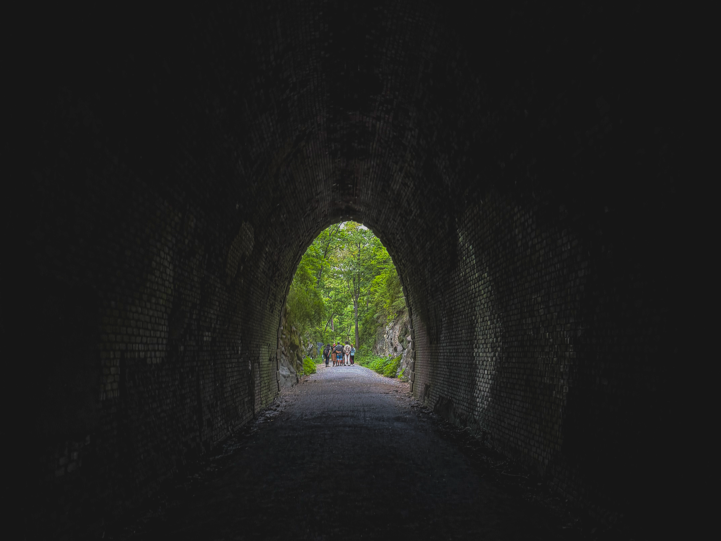 The Architecture of Purpose