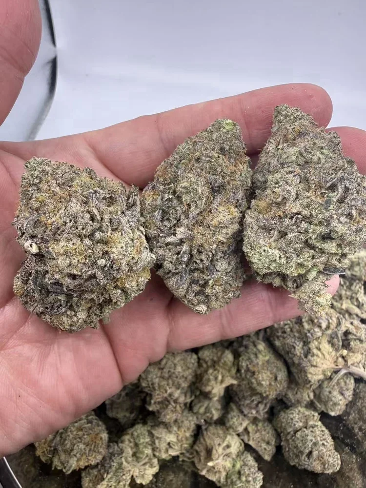 Runtz 14g-$70, 1oz- $125
Runtz is one of the most popular modern hybrid cannabis strains, bred from Zkittlez × Gelato. It became famous for its candy-like flavor, colorful buds, and balanced high.

THC %29