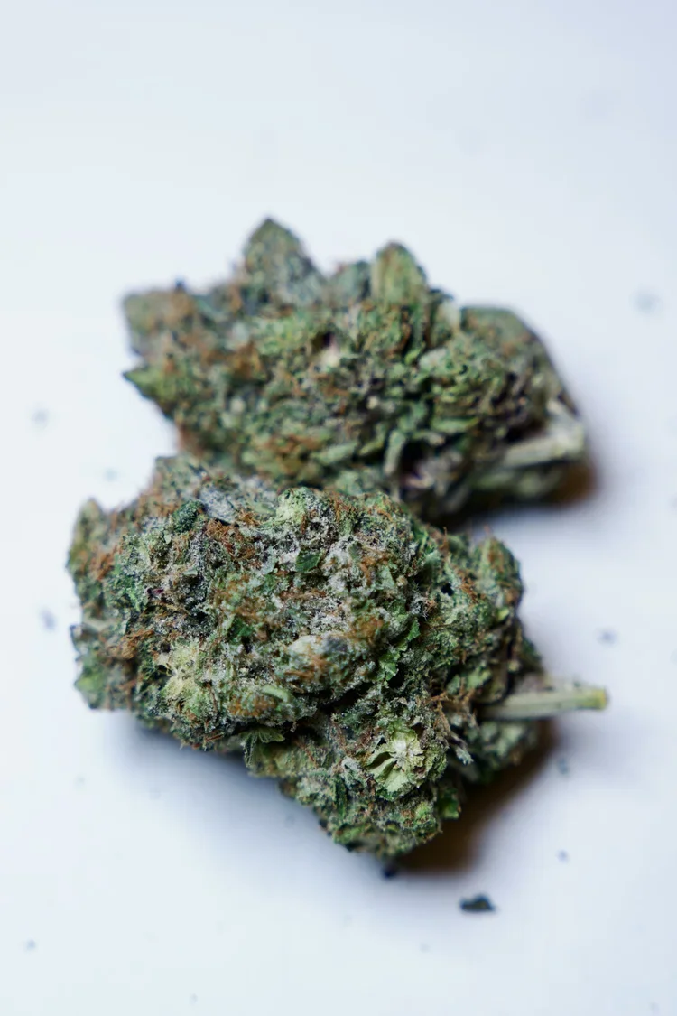 Pink Chapo, 14g- $90. 1oz- $150
The Pink Chapo is an indica-dominant cultivar distinguished by gassy kush aromas and subtle floral sweetness, settling the body into profound, unhurried tranquility. 🌿