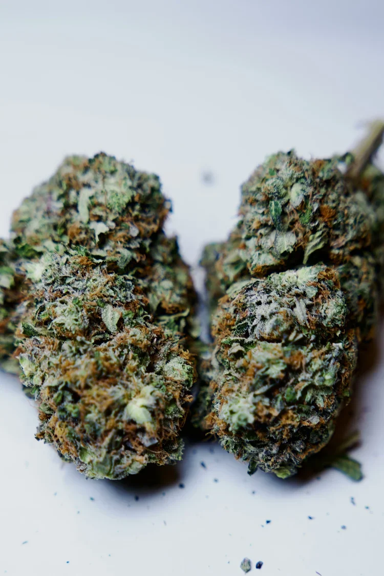 Pink bubba, 14g- $90, 1oz- $150
Pink bubba is an elegant Indica leaning strain whose earthy kush bouquet and subtle floral sweetness gradually usher the body into a state of profound, unhurried repose 