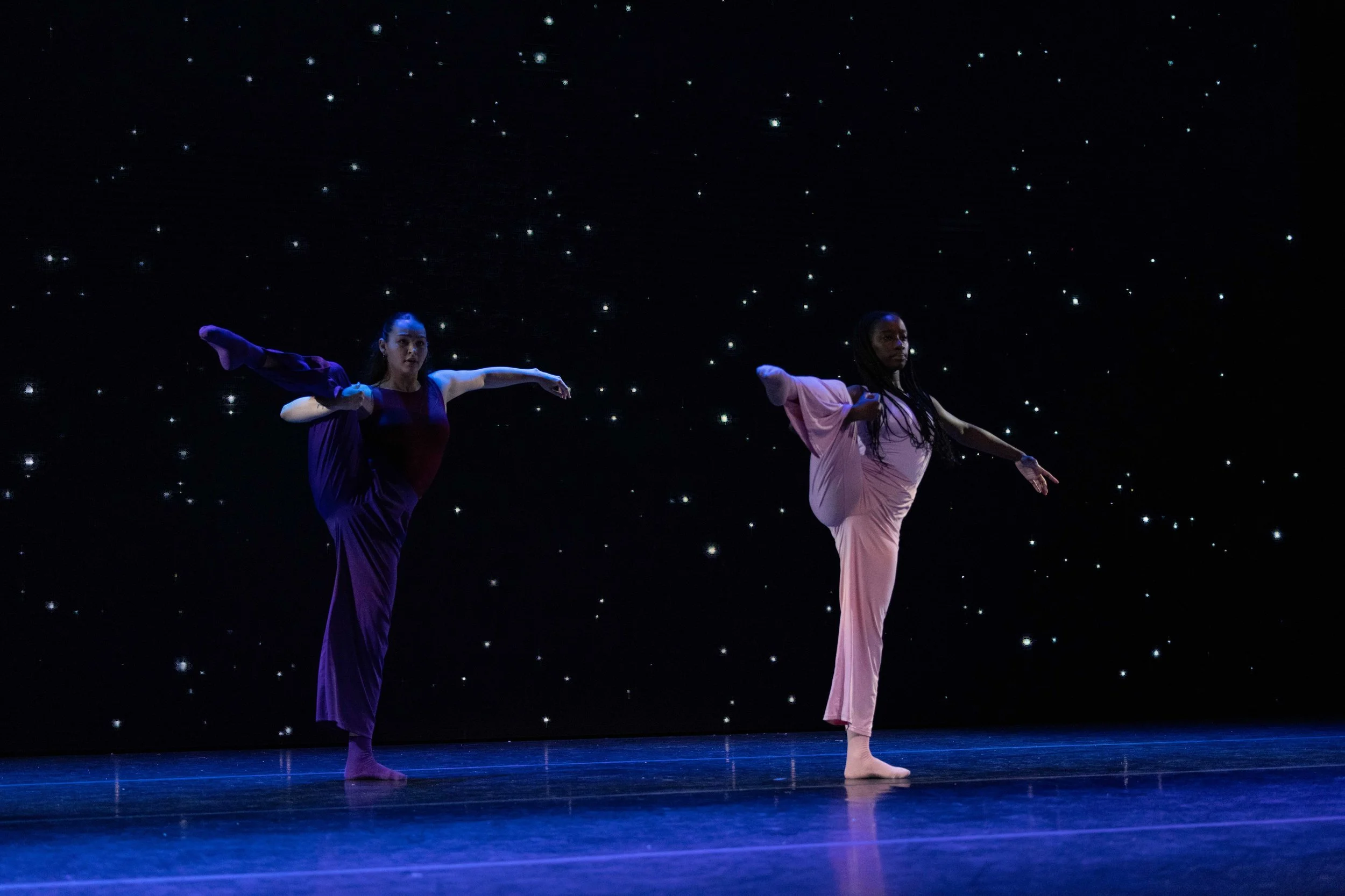 Two female dancers performing a ballet on stage against a starry backdrop, one wearing a dark purple dress and the other a light pink dress, both balancing on one leg with arms extended.