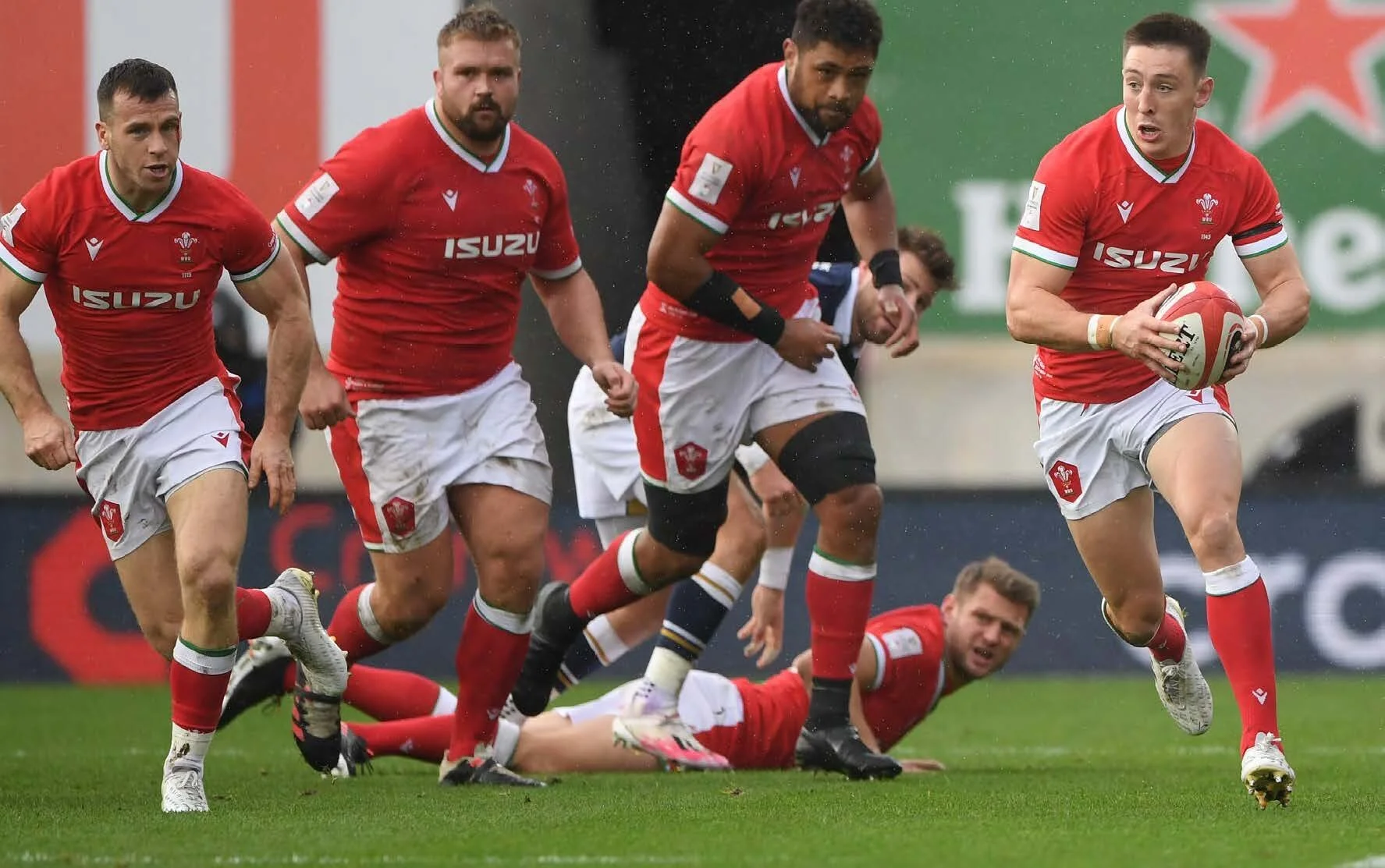 Autumn Rugby Internationals