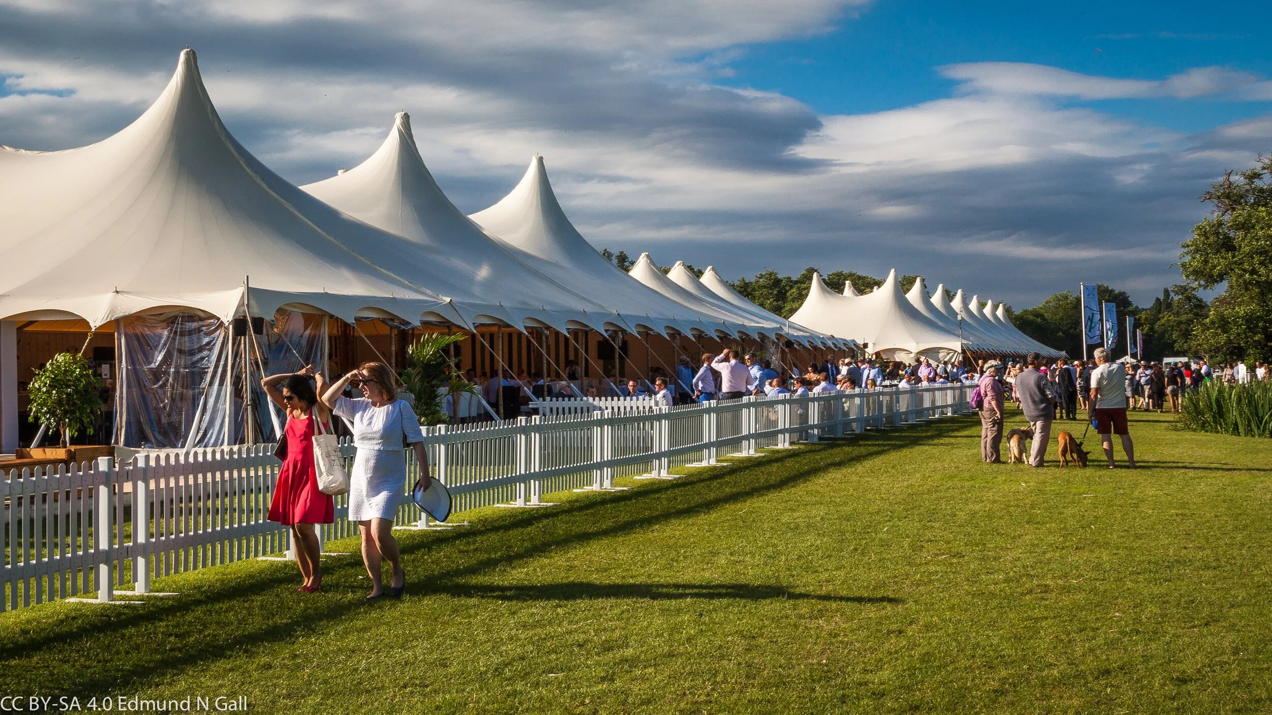 Albion-Events-Henley-Regatta-2021-1.jpg