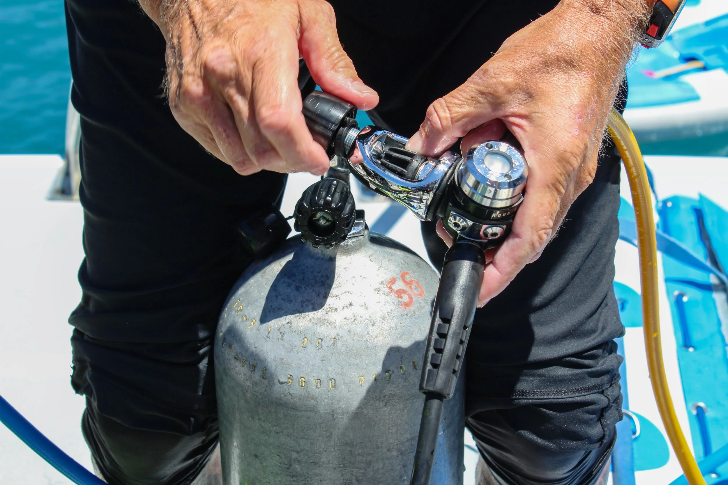 Regulator Assembly