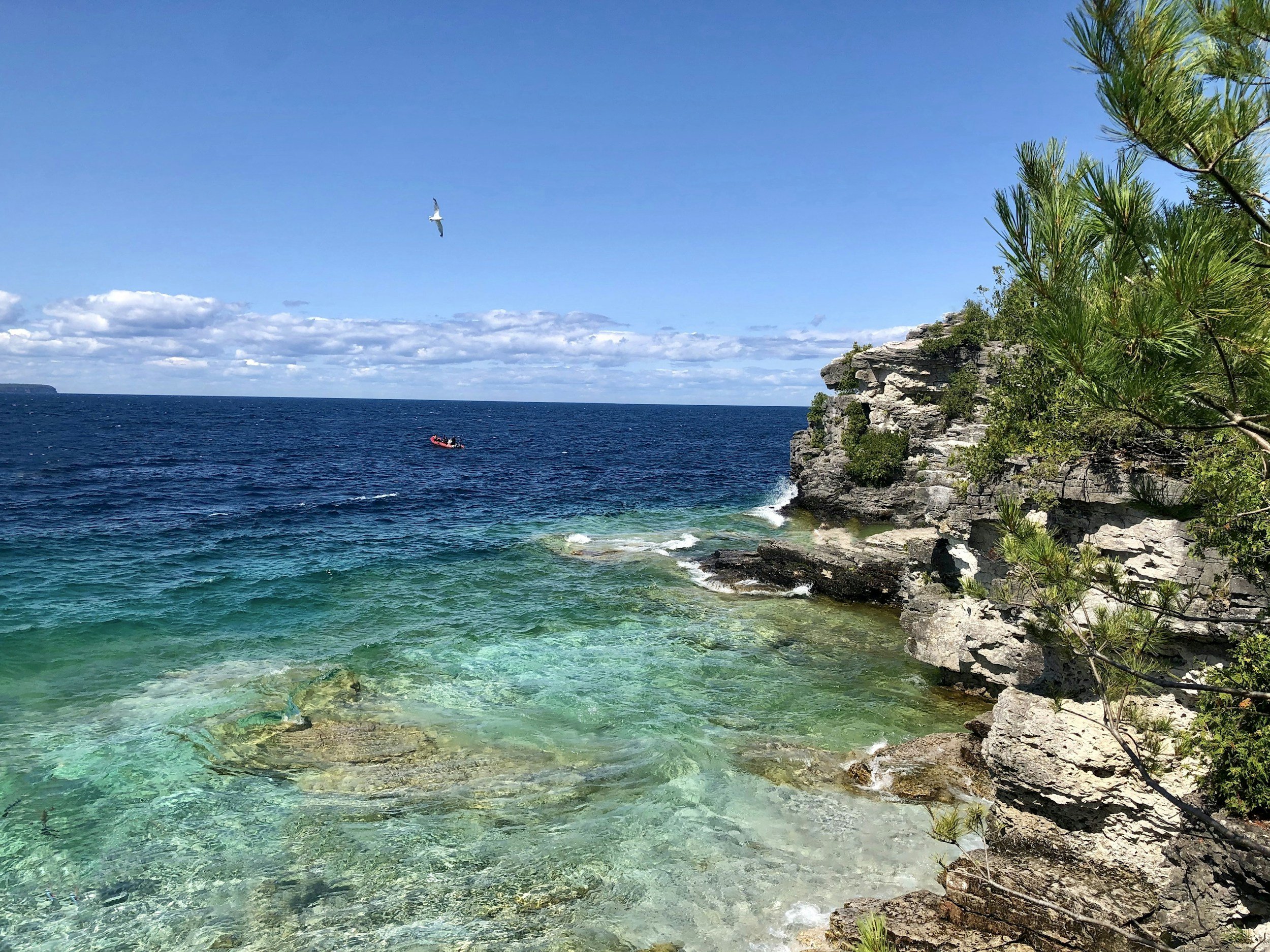 A coastal scene with clear turquoise water, rocky shoreline, green trees, and a sailboat in the distance against a blue sky with clouds and a single flying seagull.
