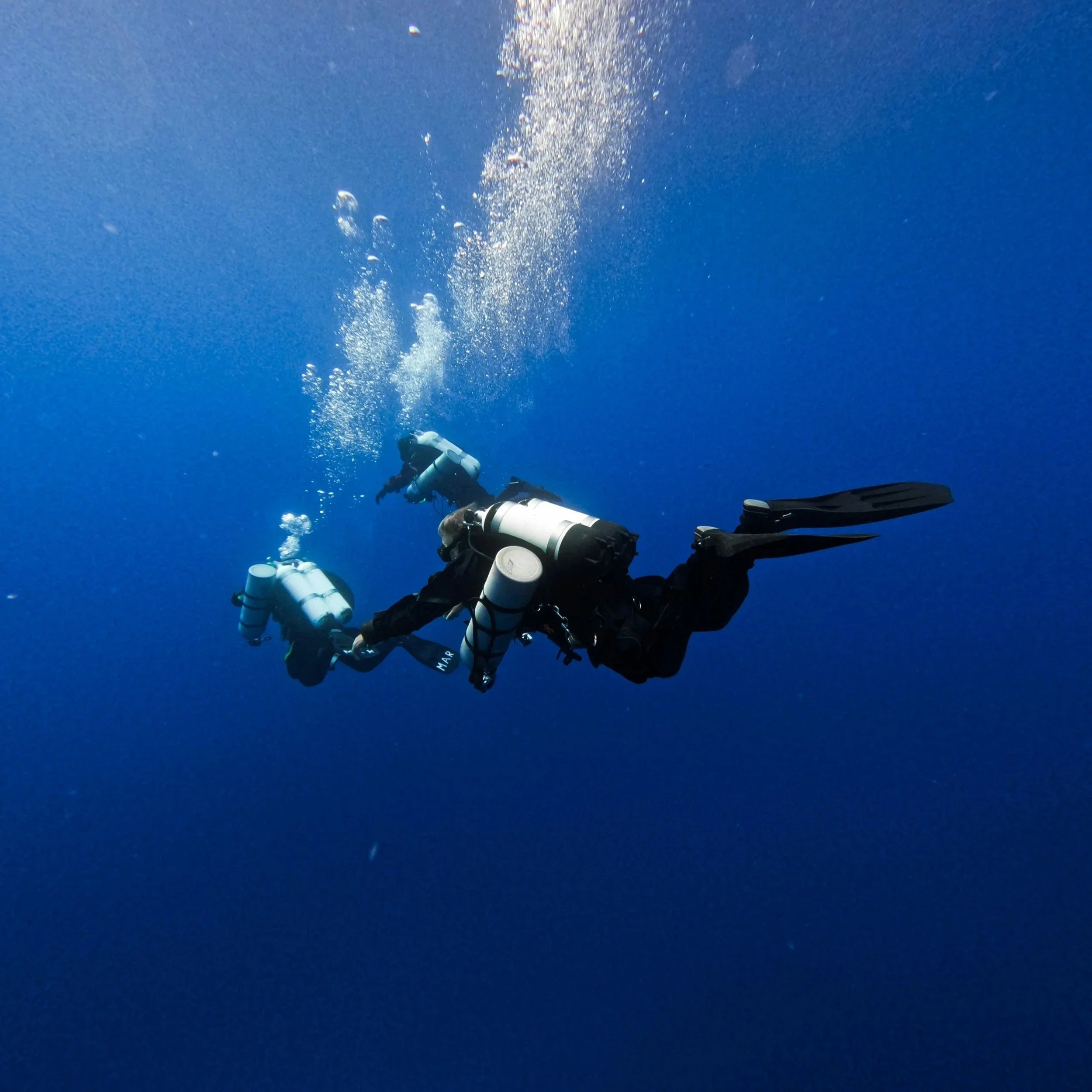 divemaster.jpg