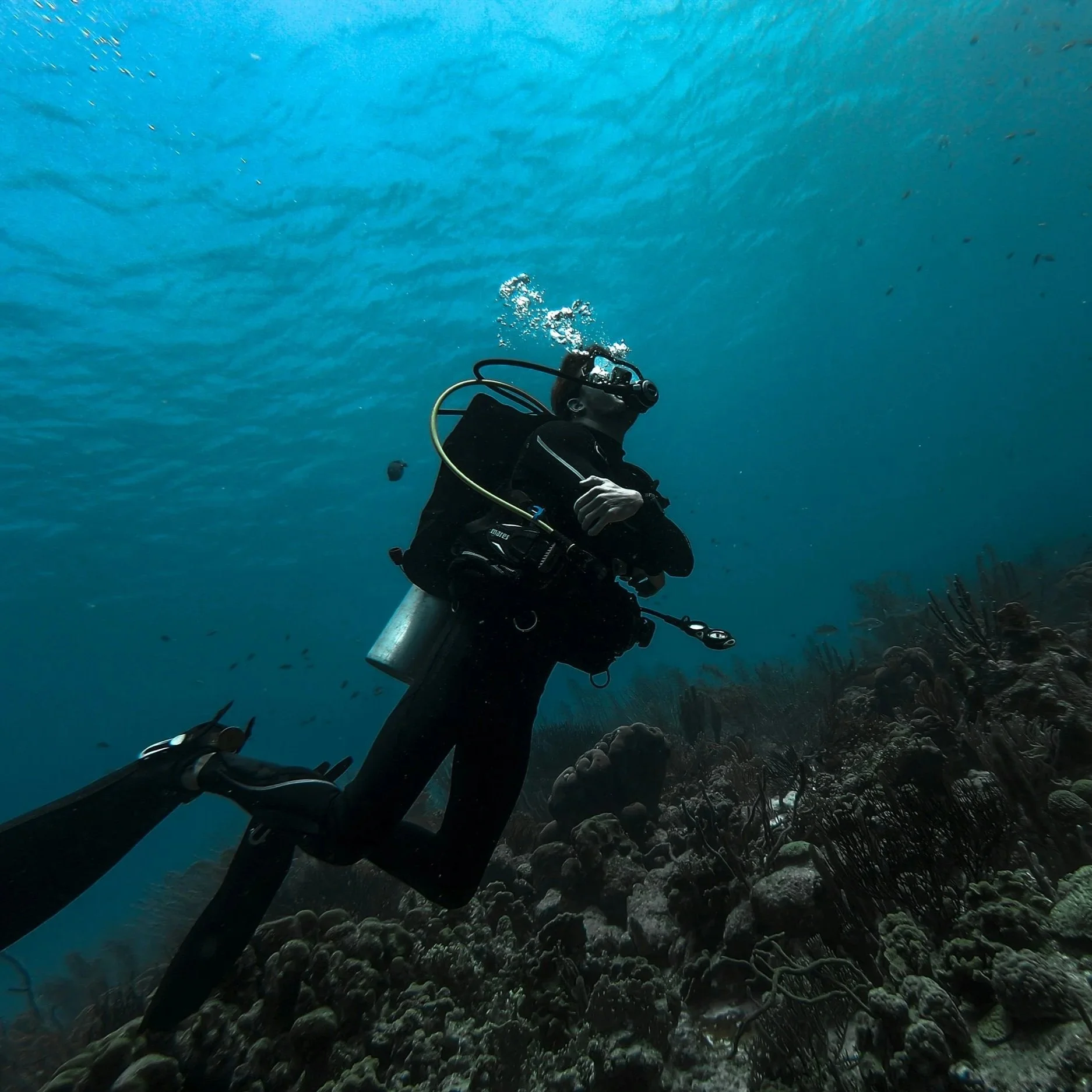 advanced+open+water+diver.jpg