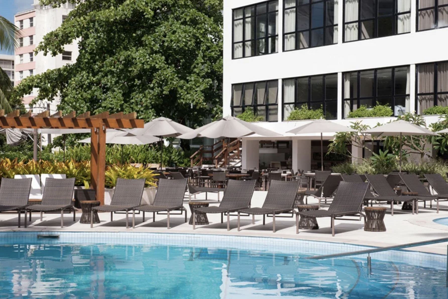 Poolside area at a hotel with lounge chairs, umbrellas, and a swimming pool. There is a modern white building with large windows in the background, surrounded by greenery and trees.
