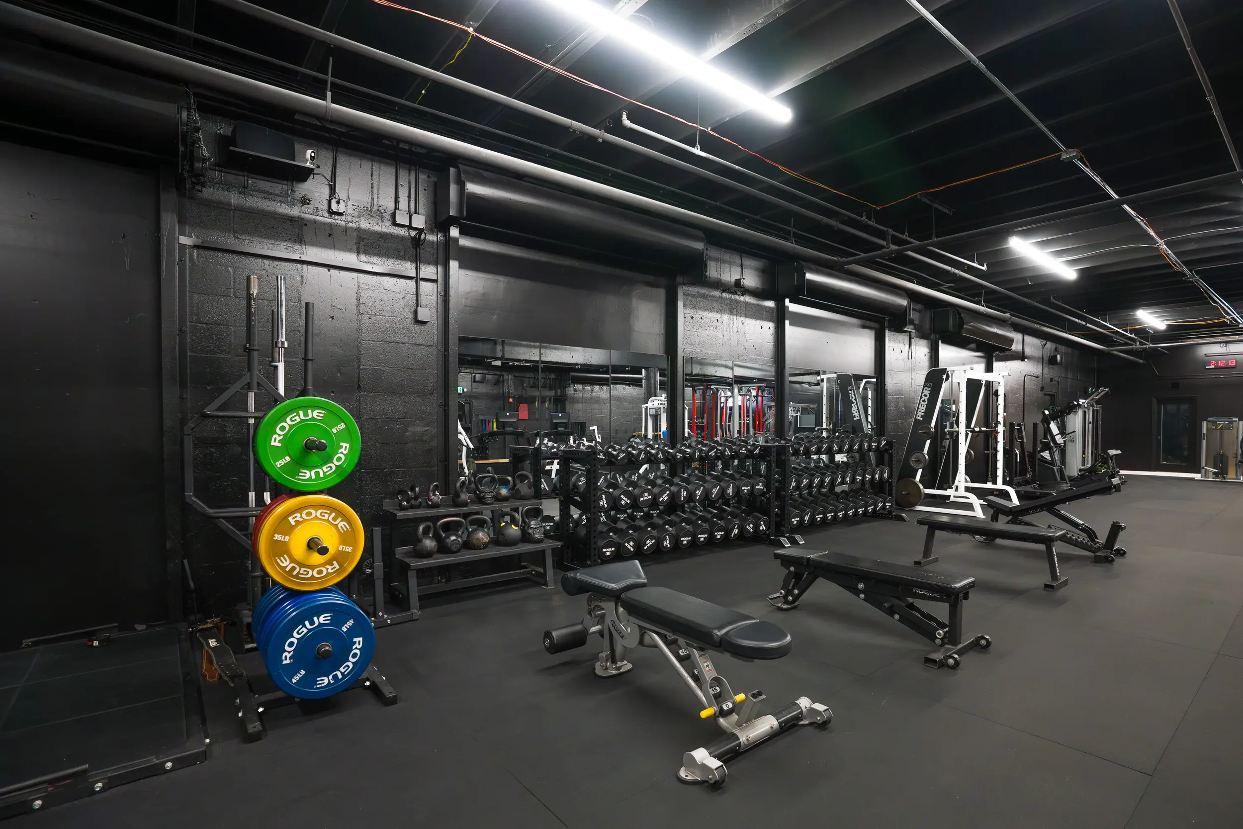 gym2.webp