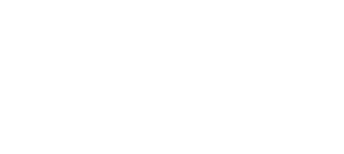 L1FT