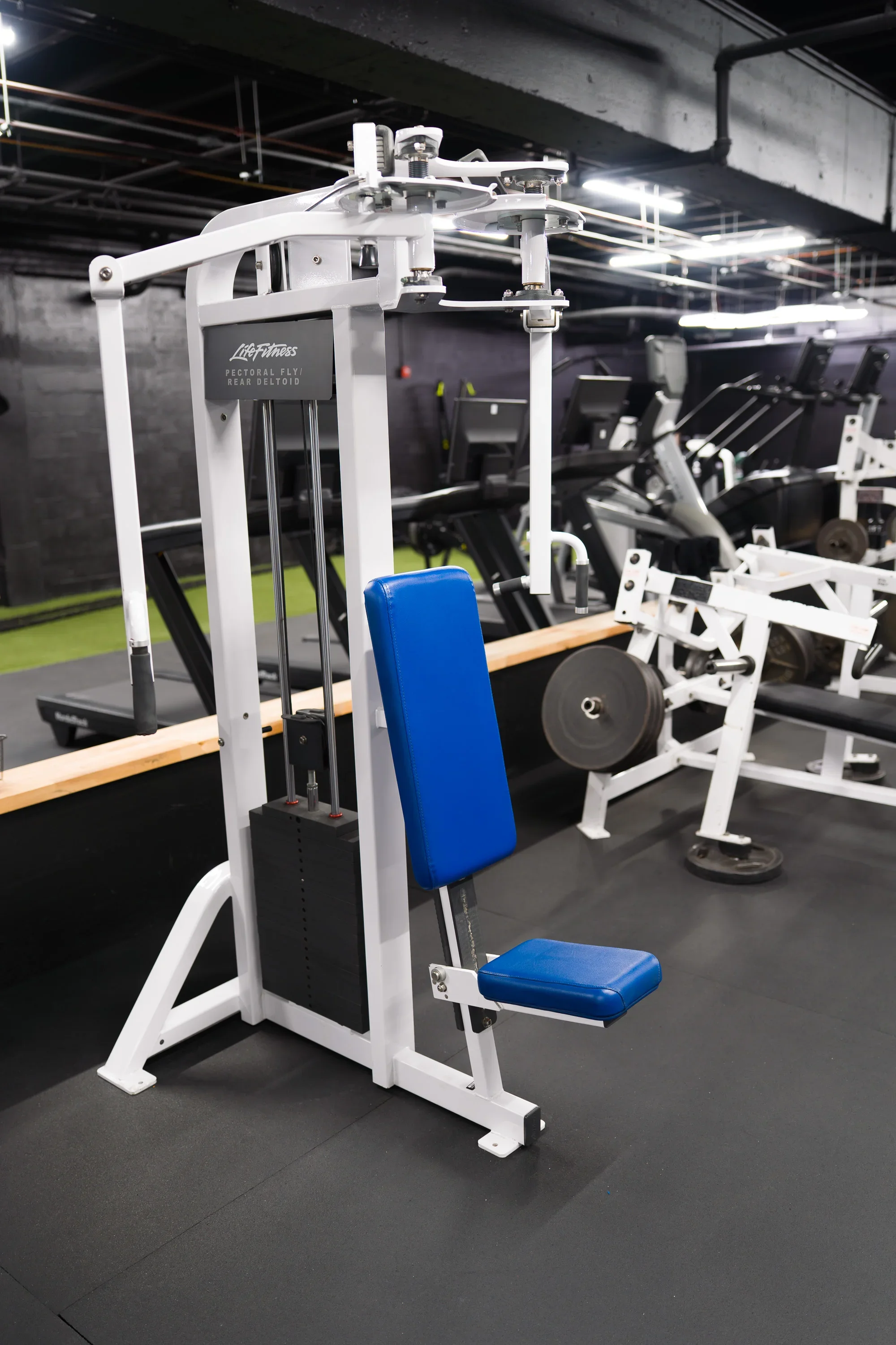 gym3.webp