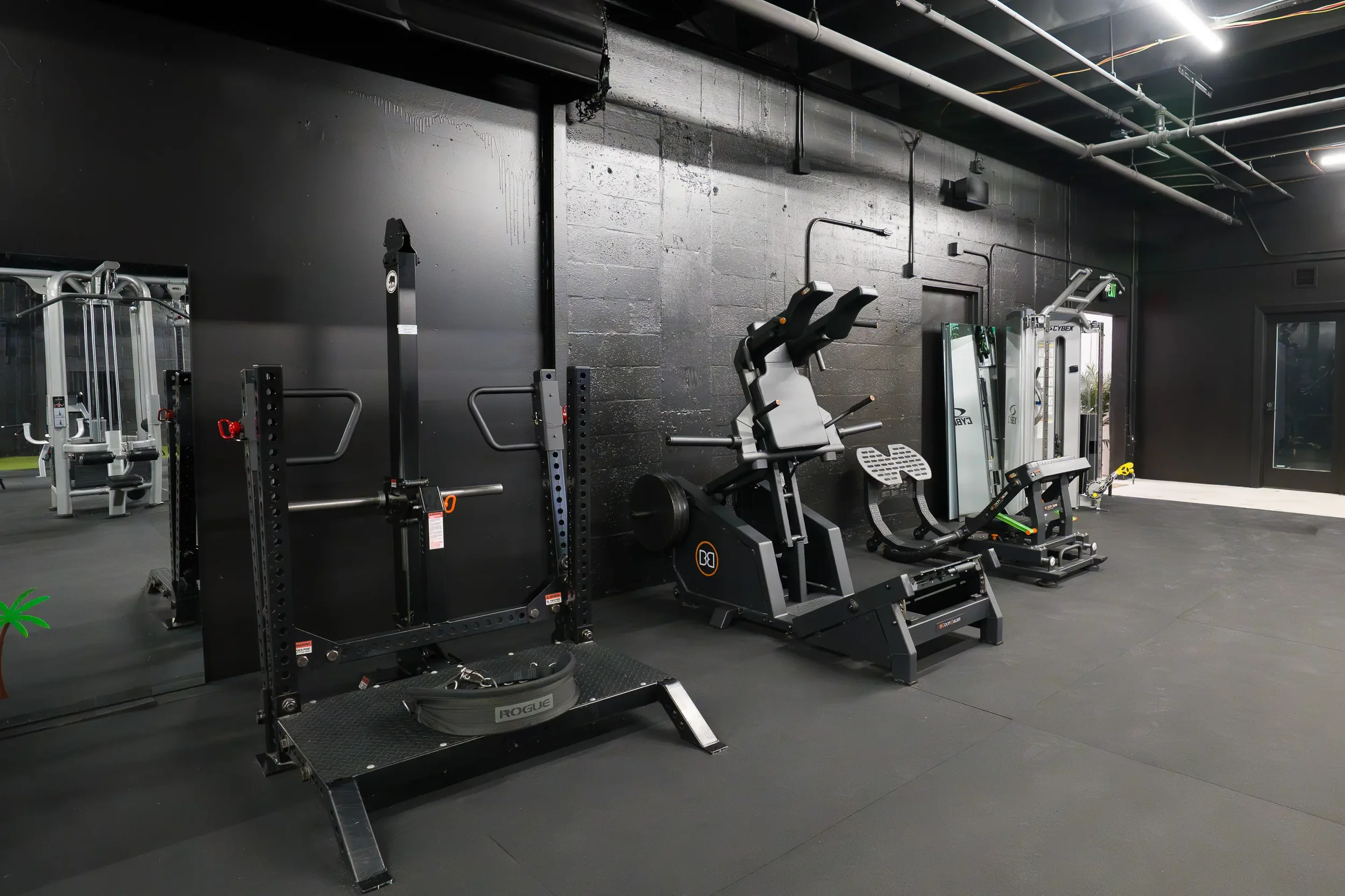 gym7.webp