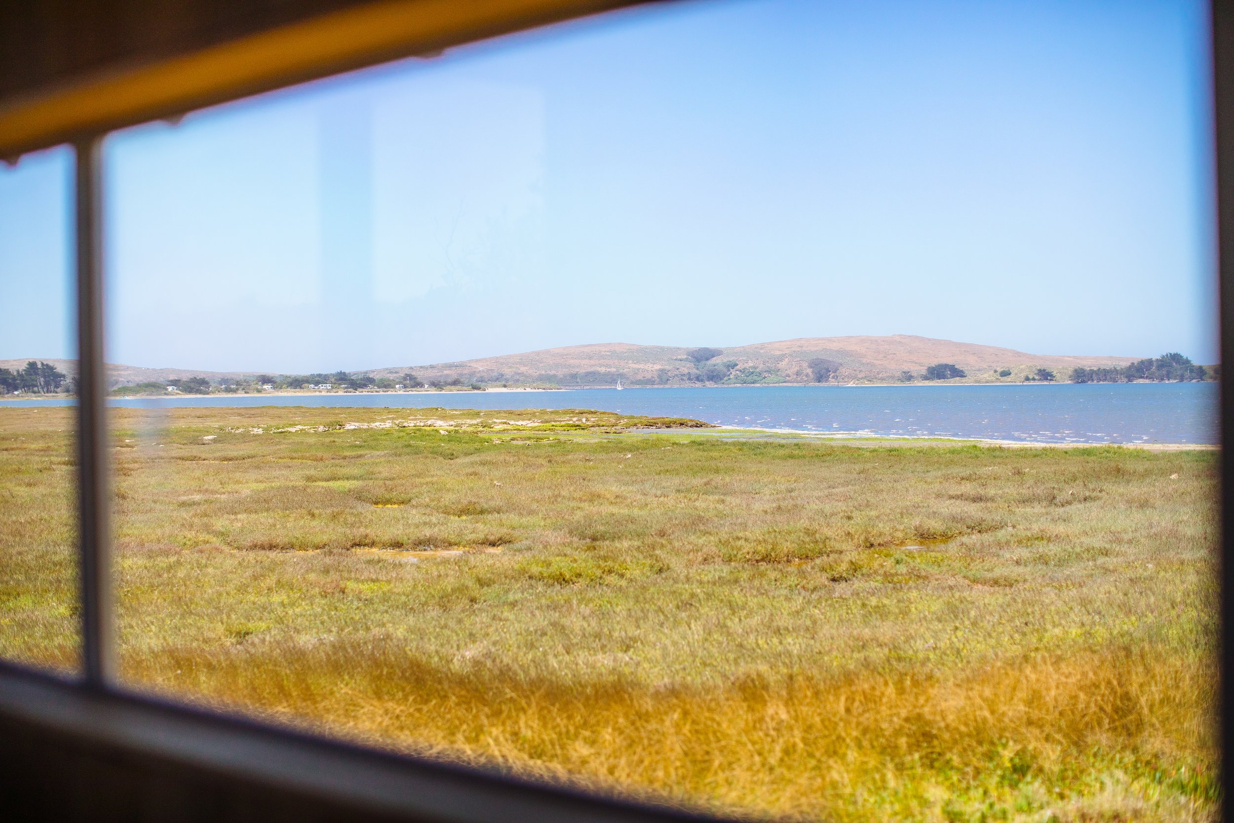 Hedge Realty 509 Smith Brothers Bodega Bay - michael woolsey 2026-1427.jpg
