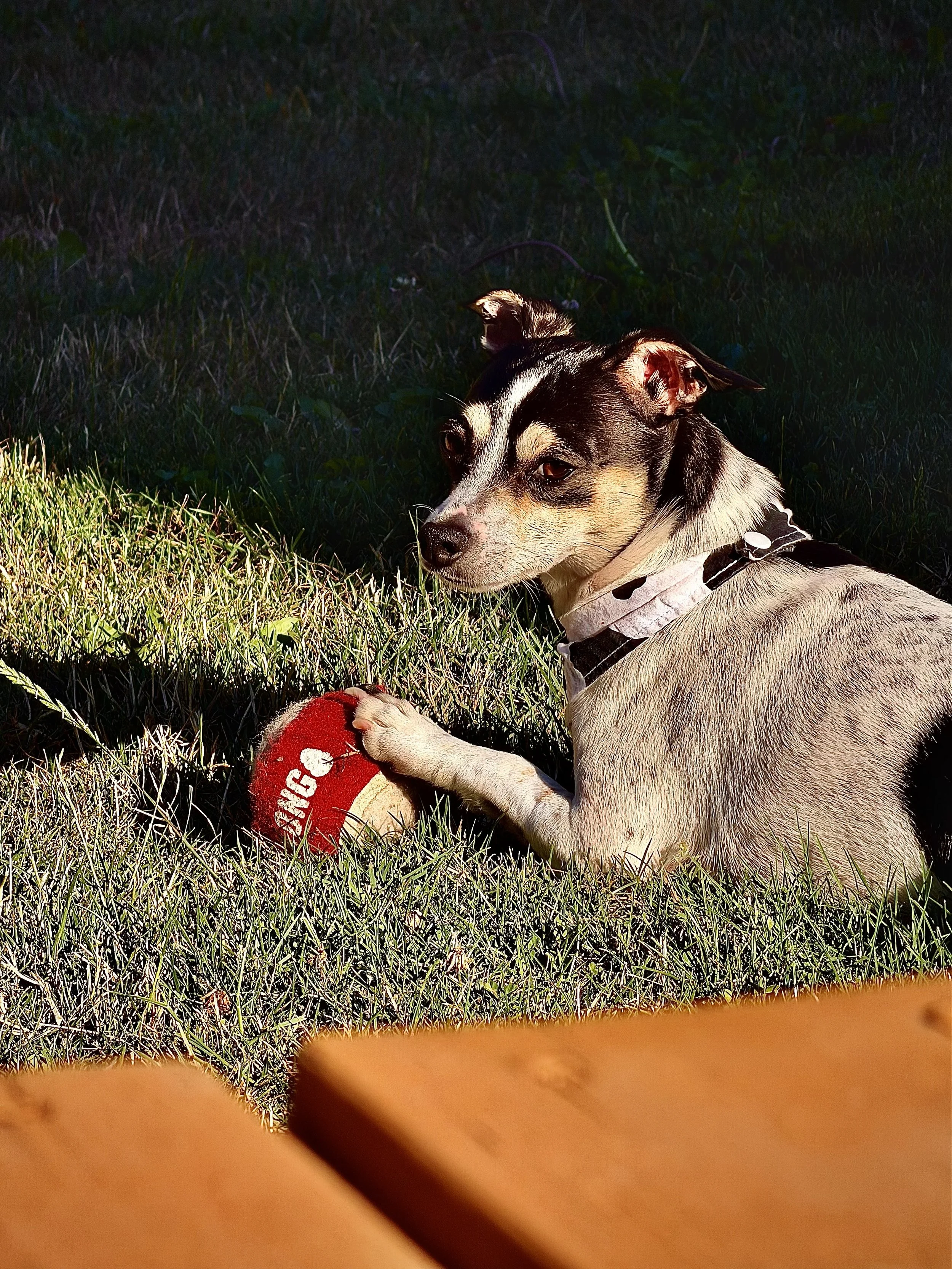 IMG_7944.jpg